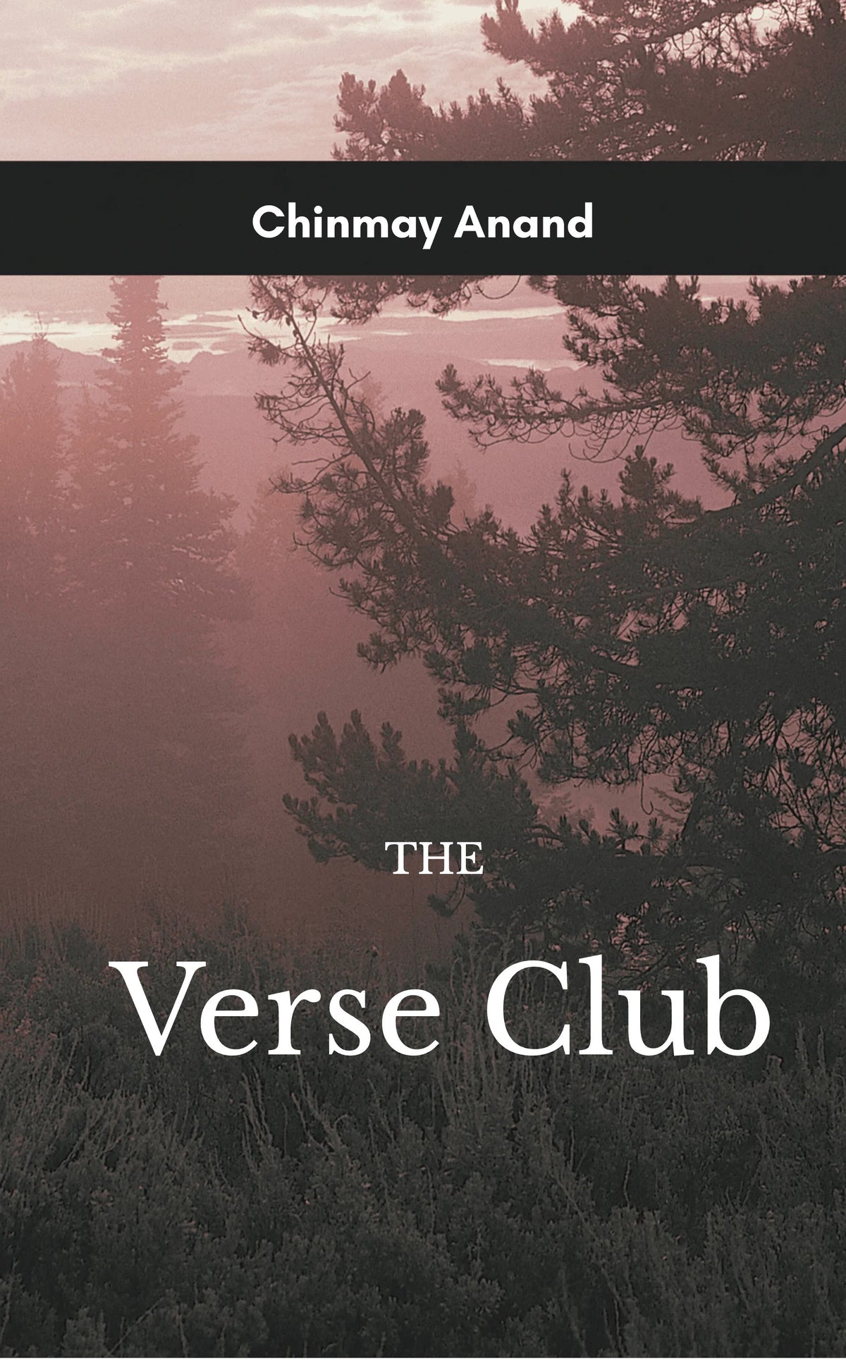 The Verse Club