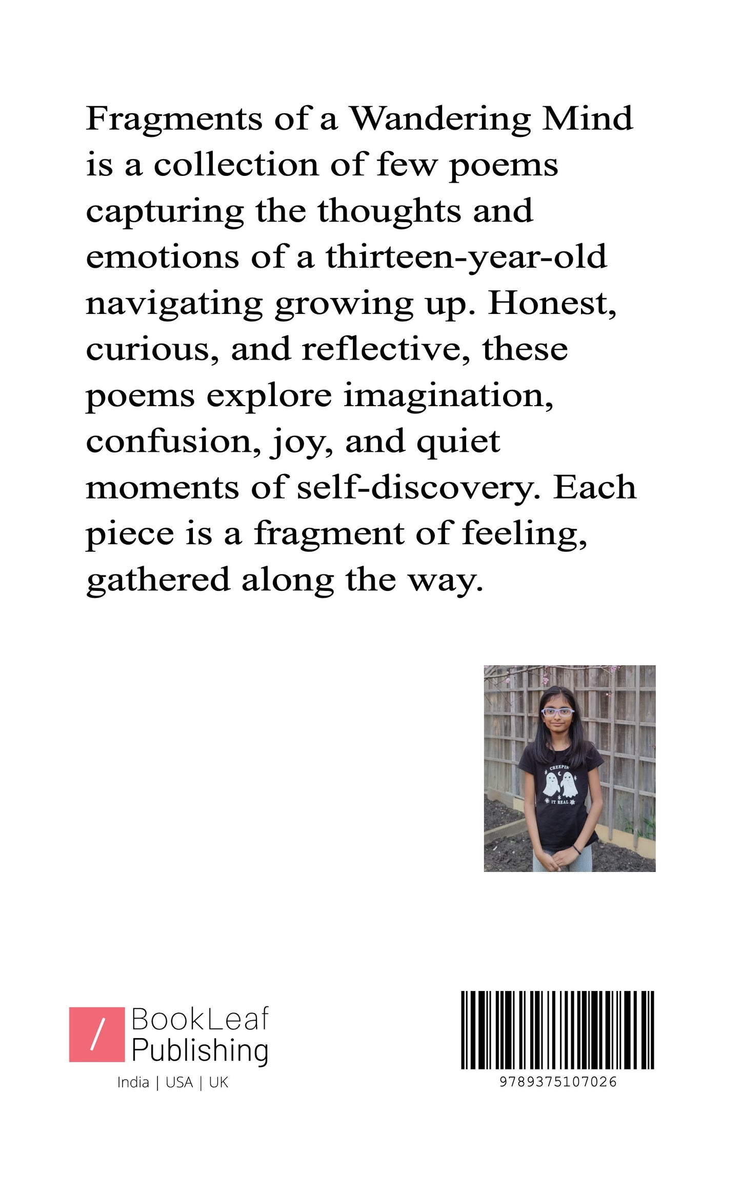 Fragments of a Wandering Mind