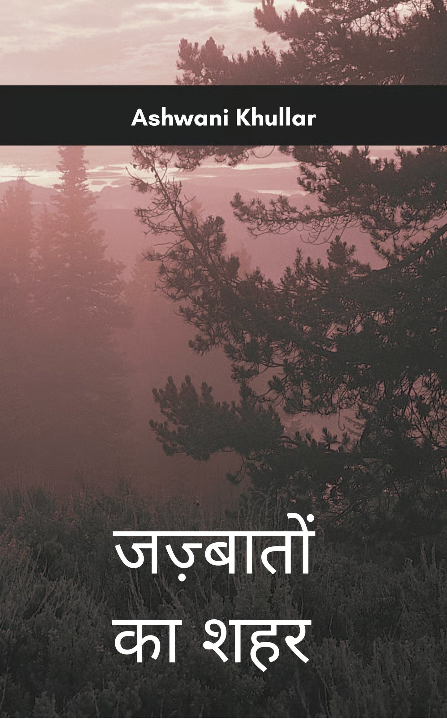 जज़्बातों का शहर