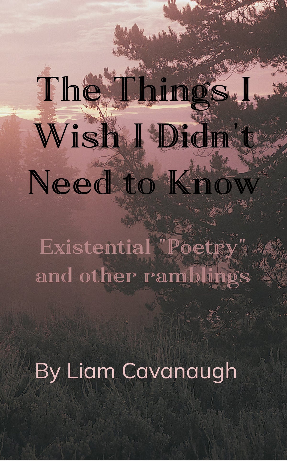 The Things I Wish I Didn't Need to Know