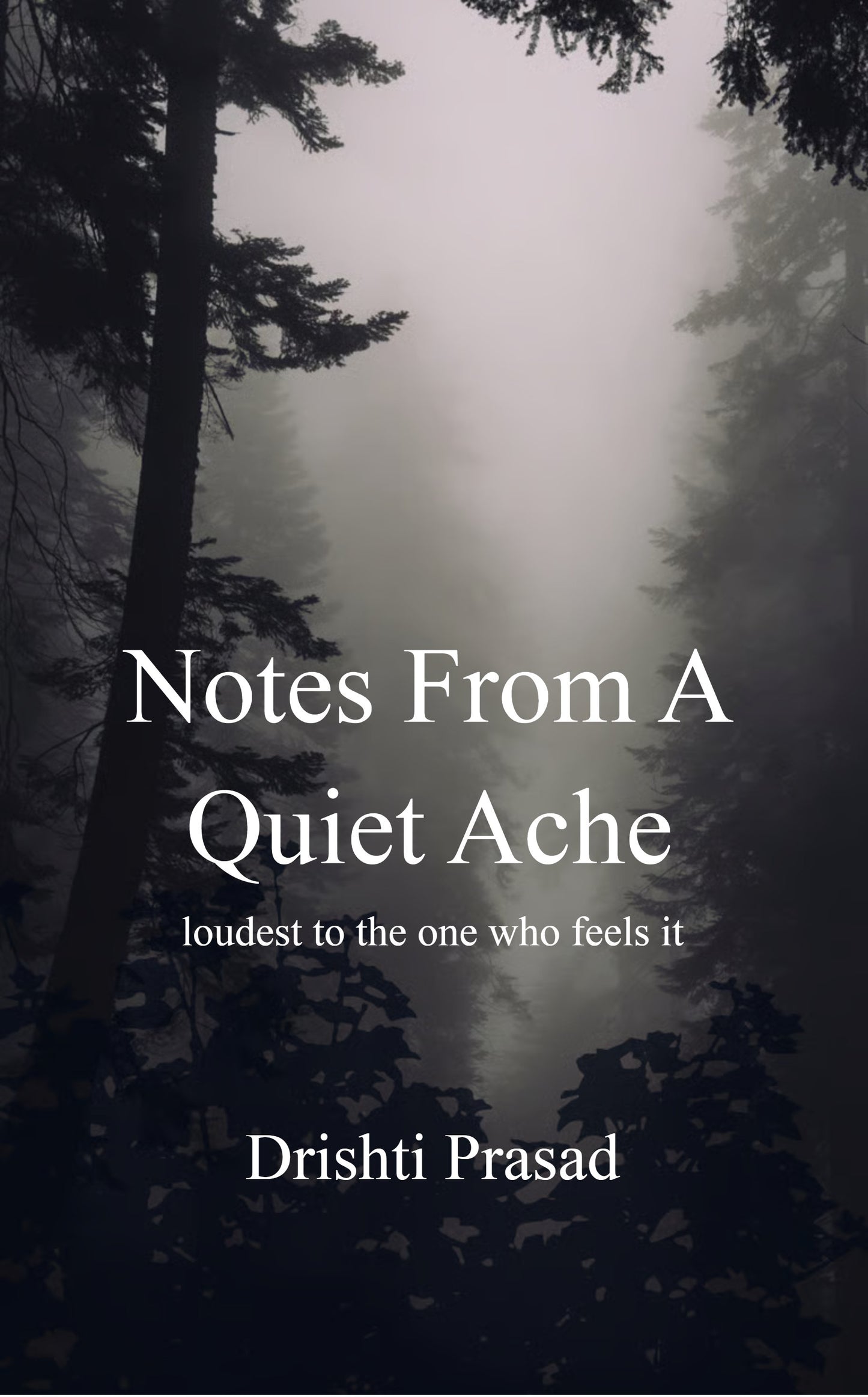 Notes from a quiet ache
