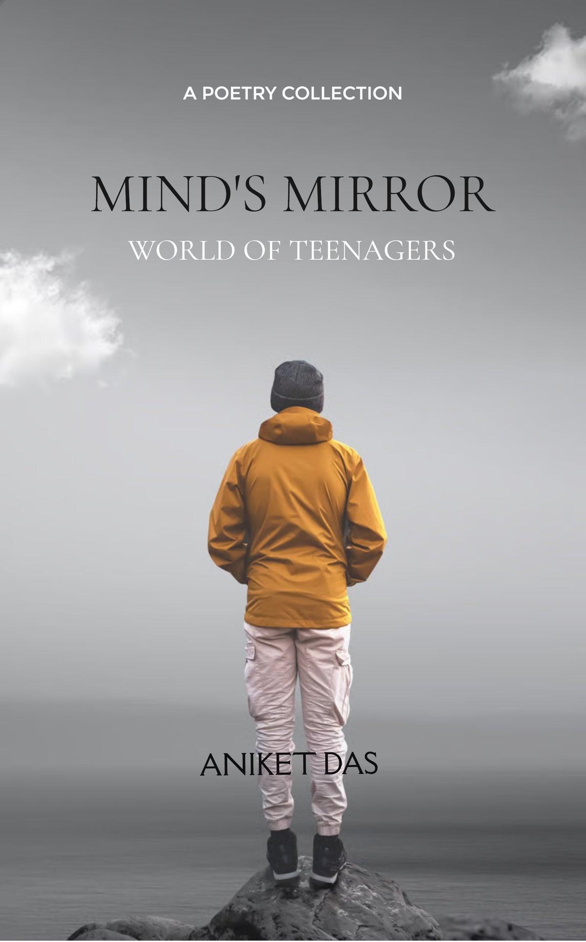 Mind's Mirror