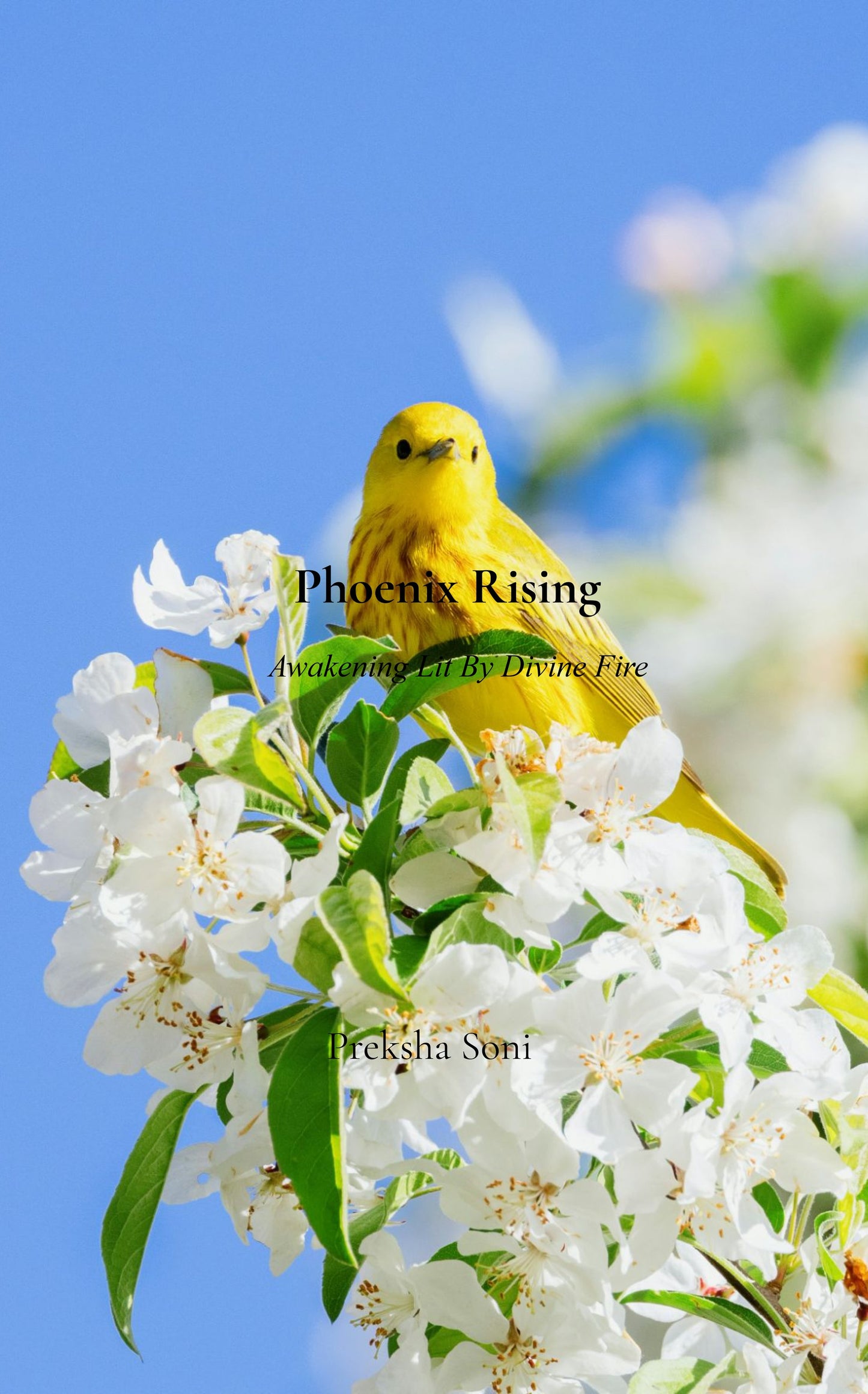 Phoenix Rising