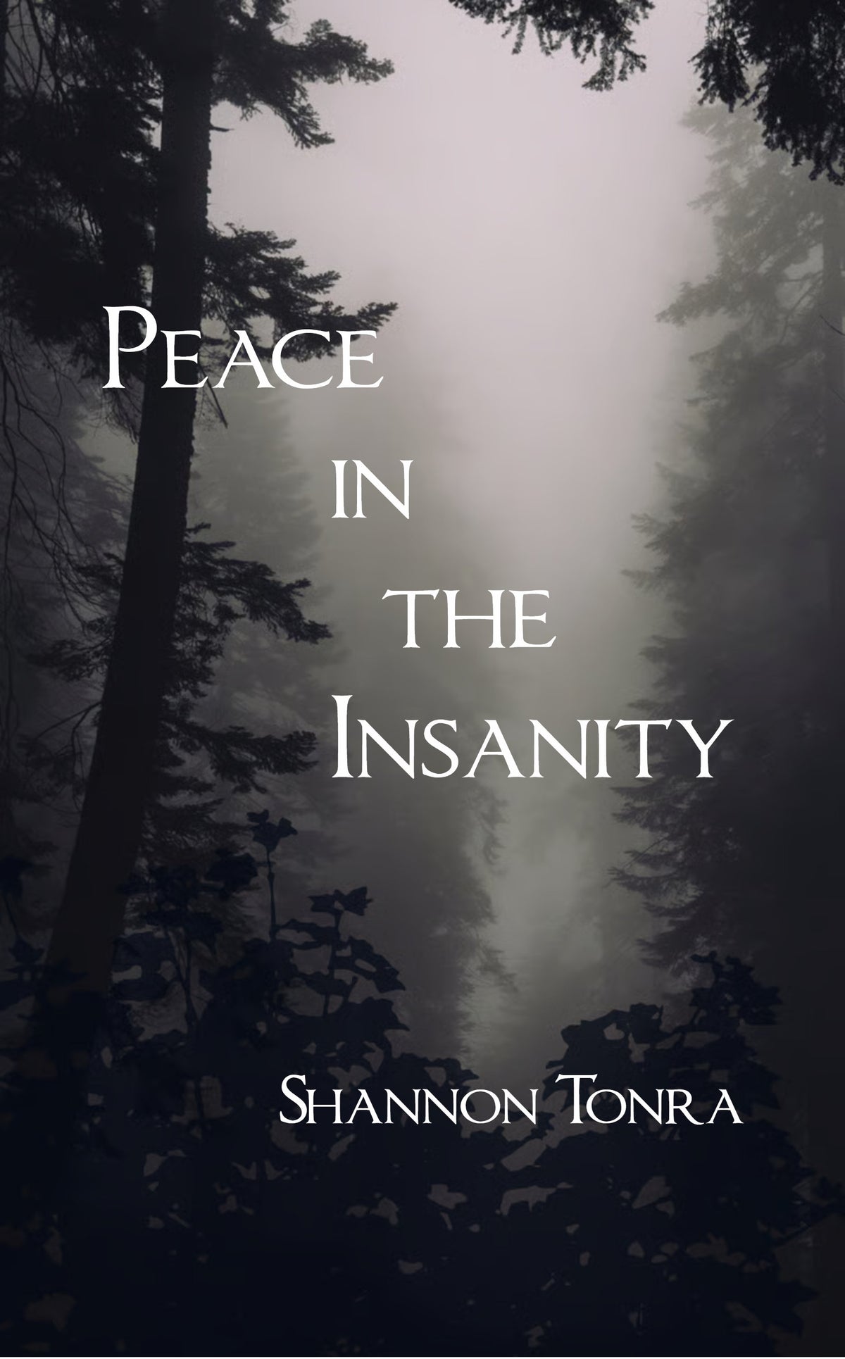 Peace in the Insanity