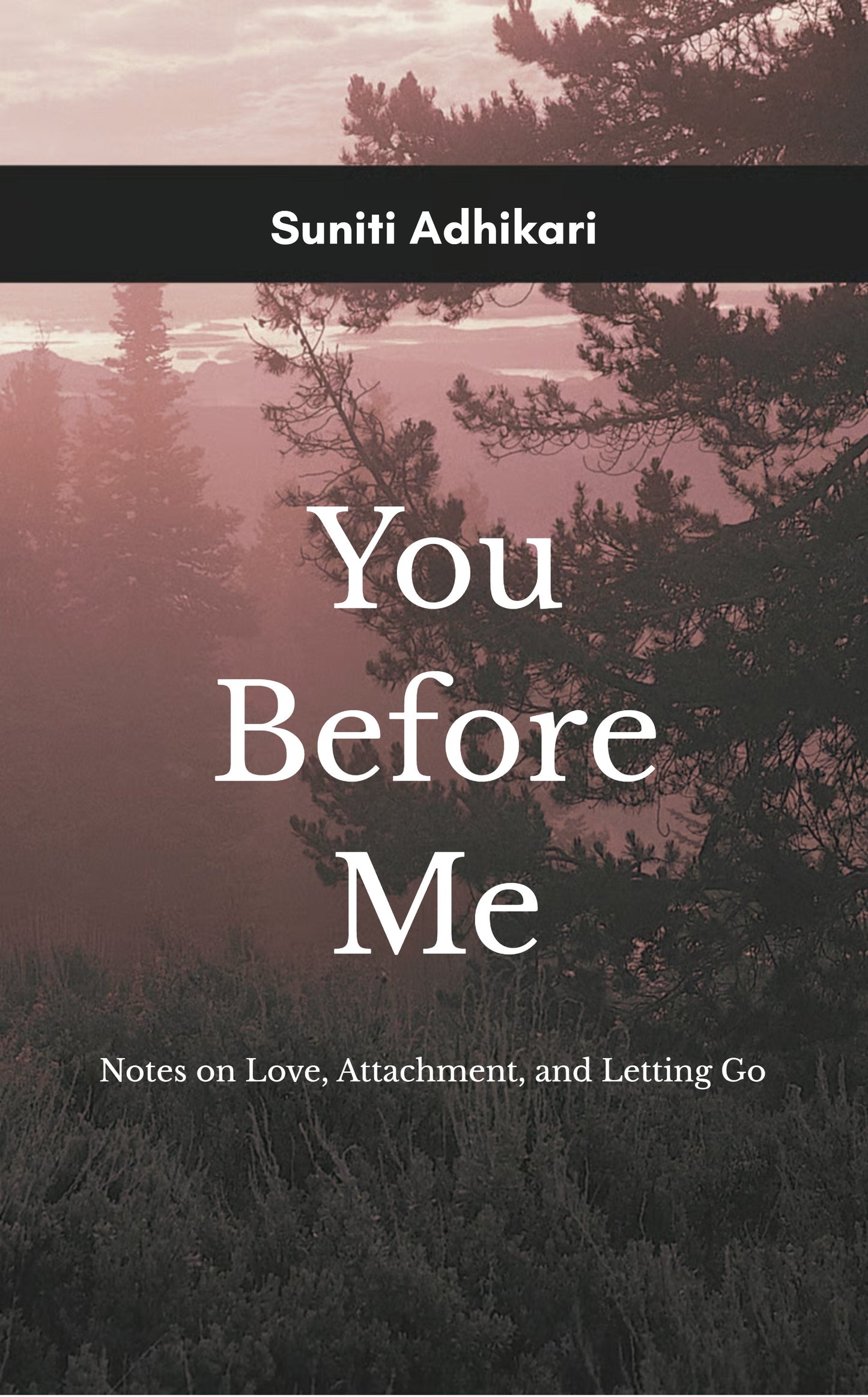You Before Me
