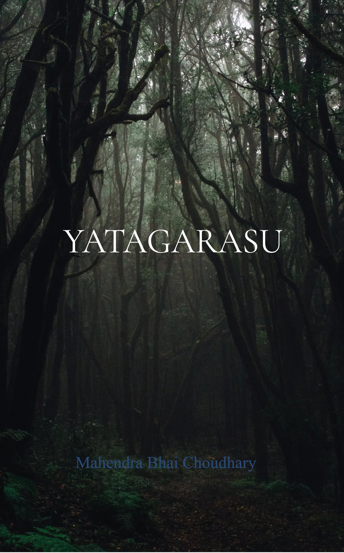 यातागारसु Yatagarasu