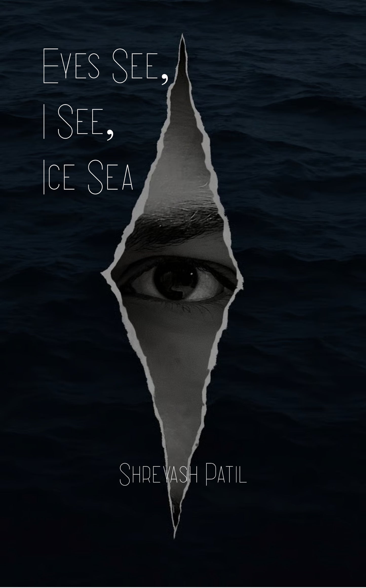 Eyes See, I See, Ice Sea