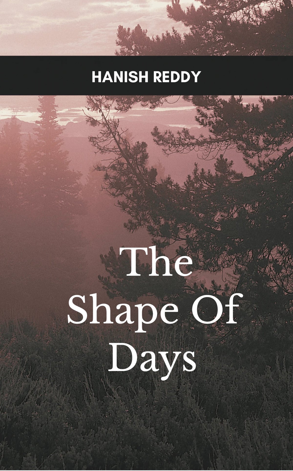 The Shape Of Days
