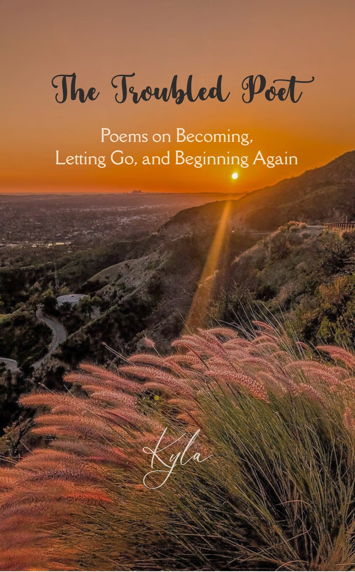 The Troubled Poet