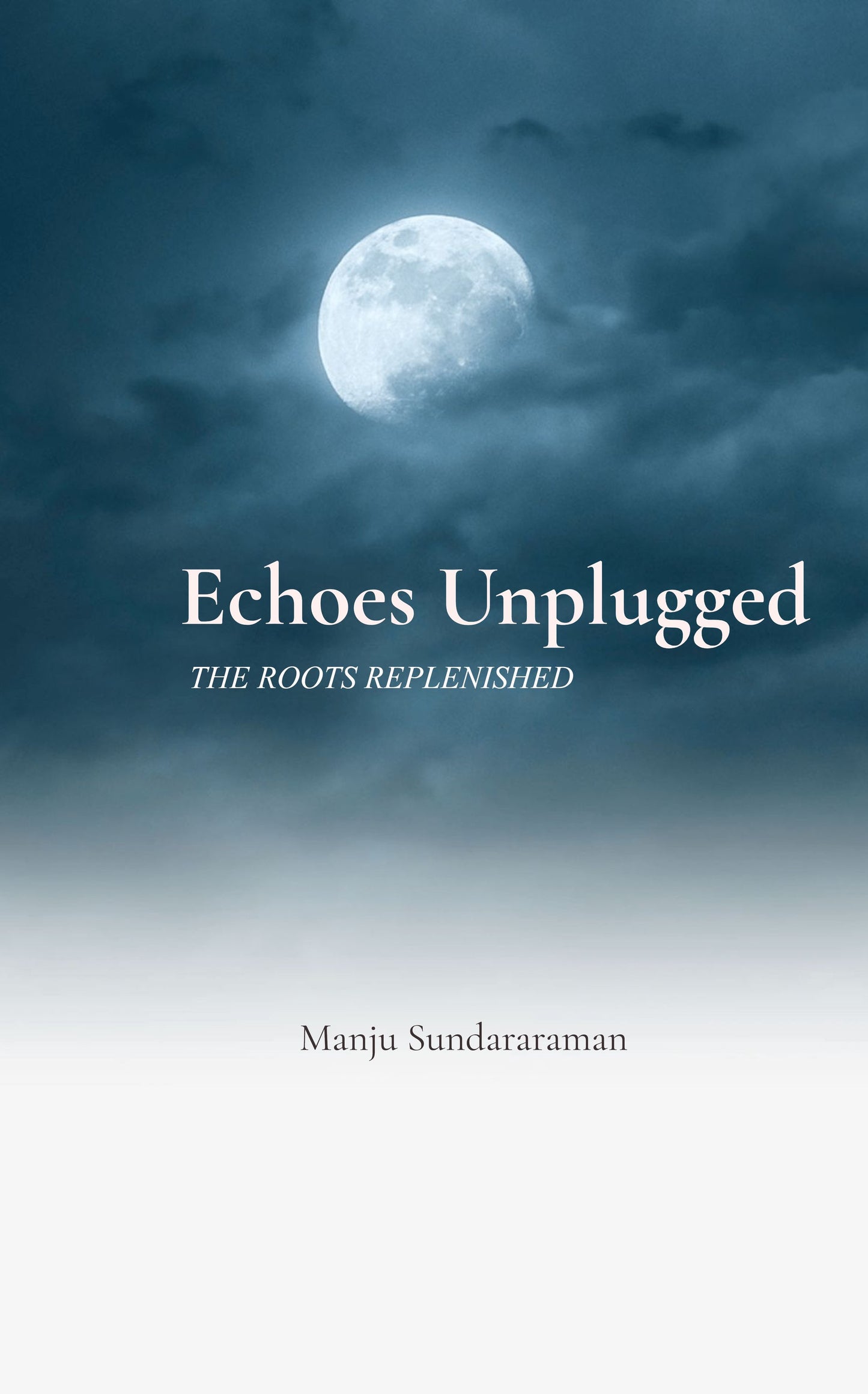 Echoes Unplugged