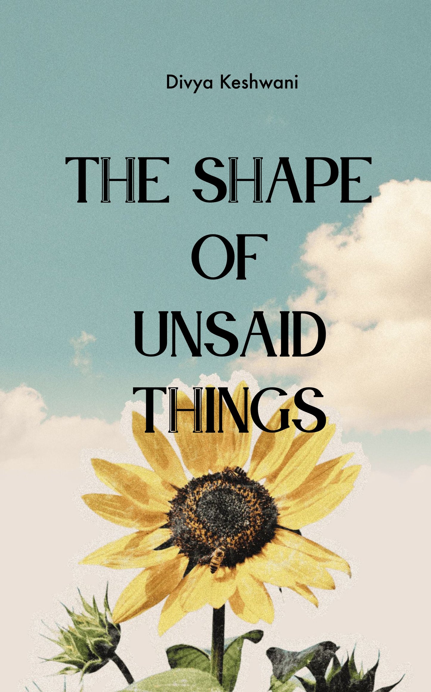 The Shape of Unsaid Things