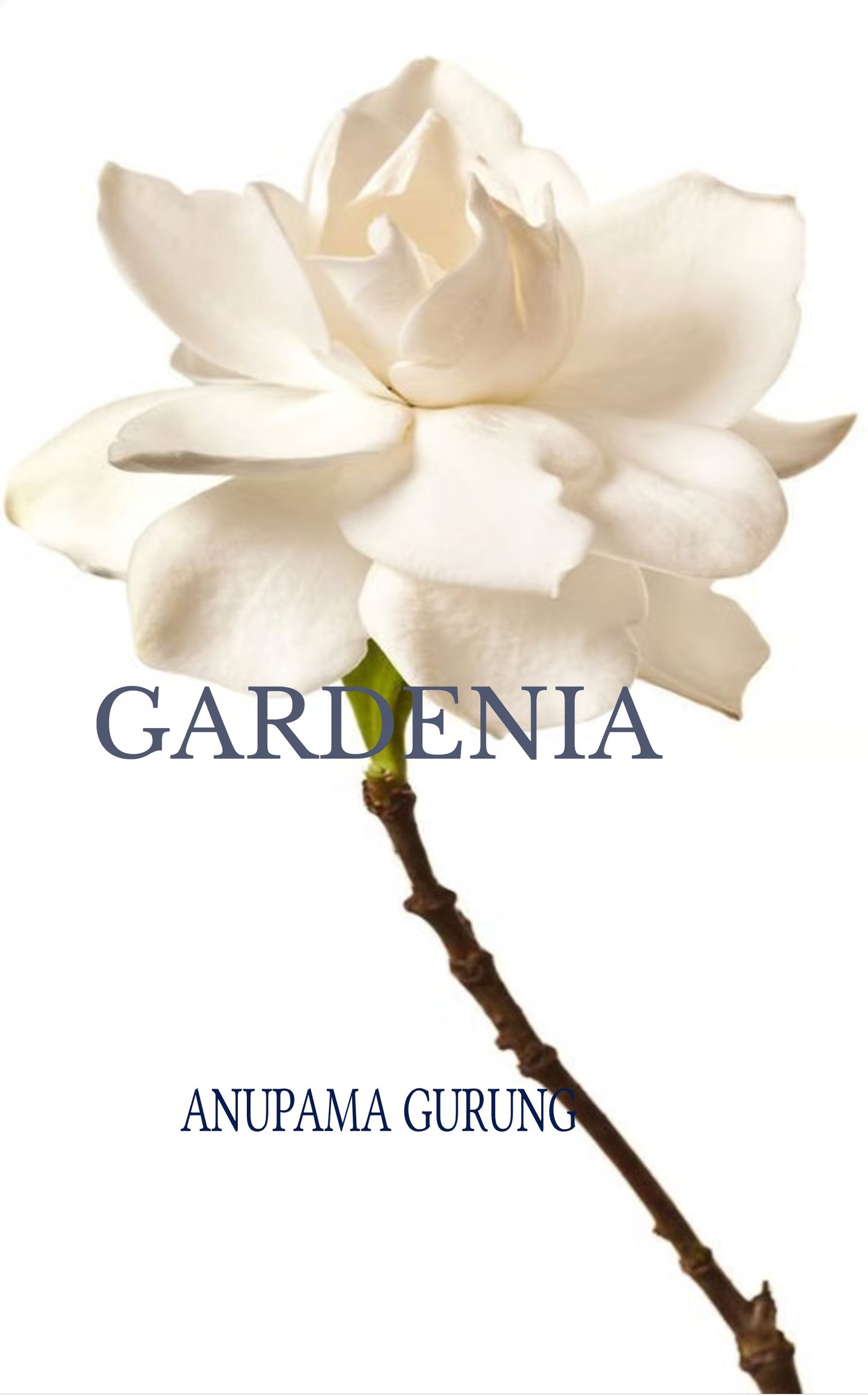Gardenia