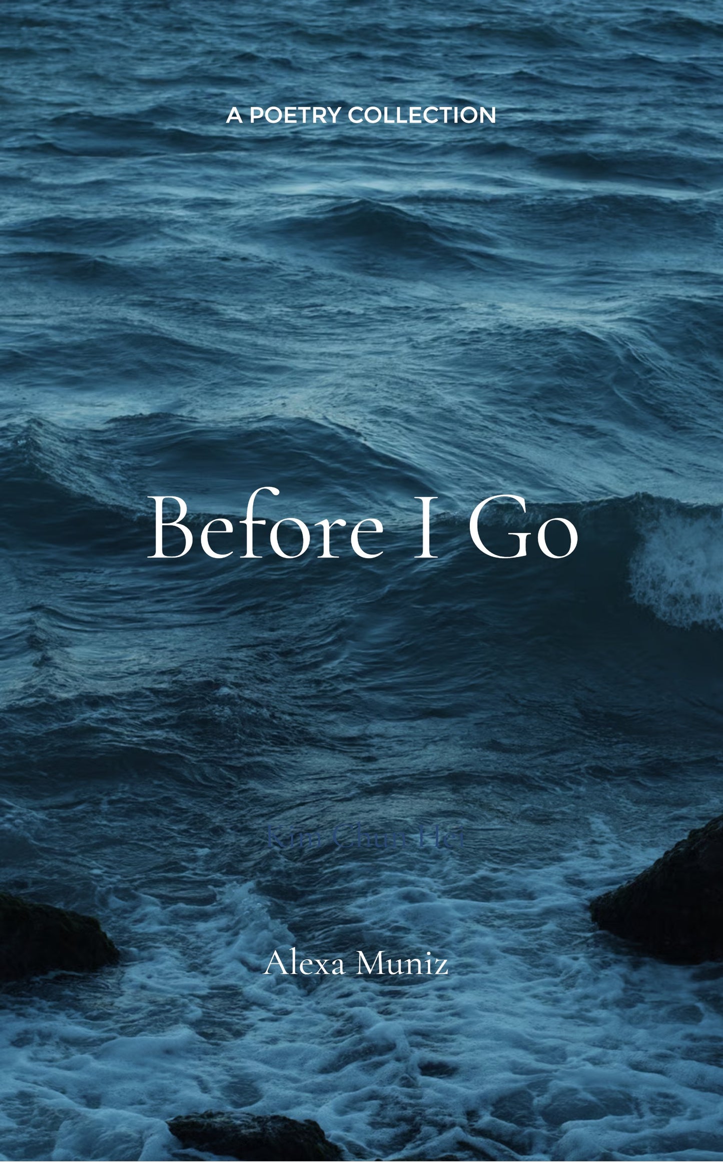 Before I Go