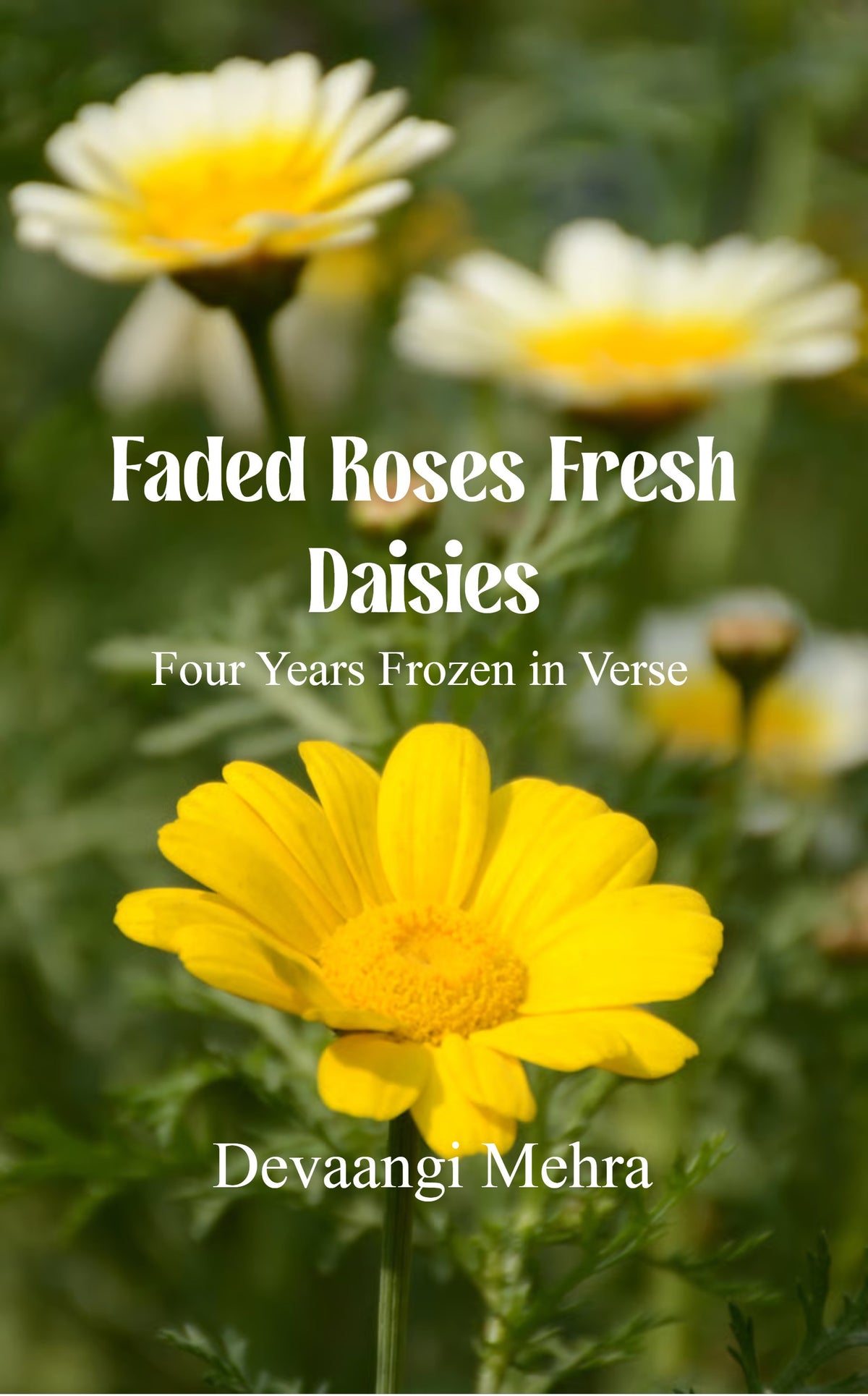 Faded Roses Fresh Daisies
