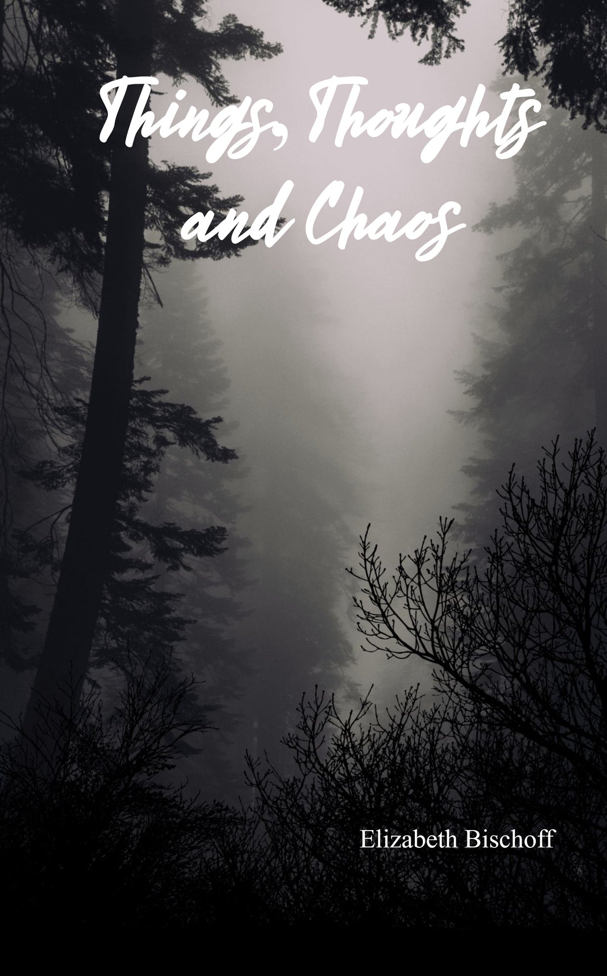 Things,Thoughts And Chaos