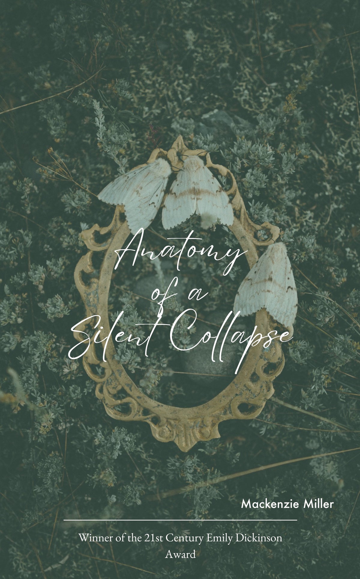 Anatomy of a Silent Collapse