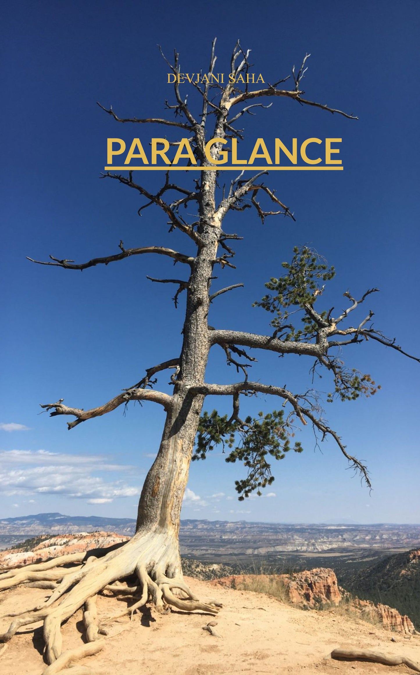 Para Glance