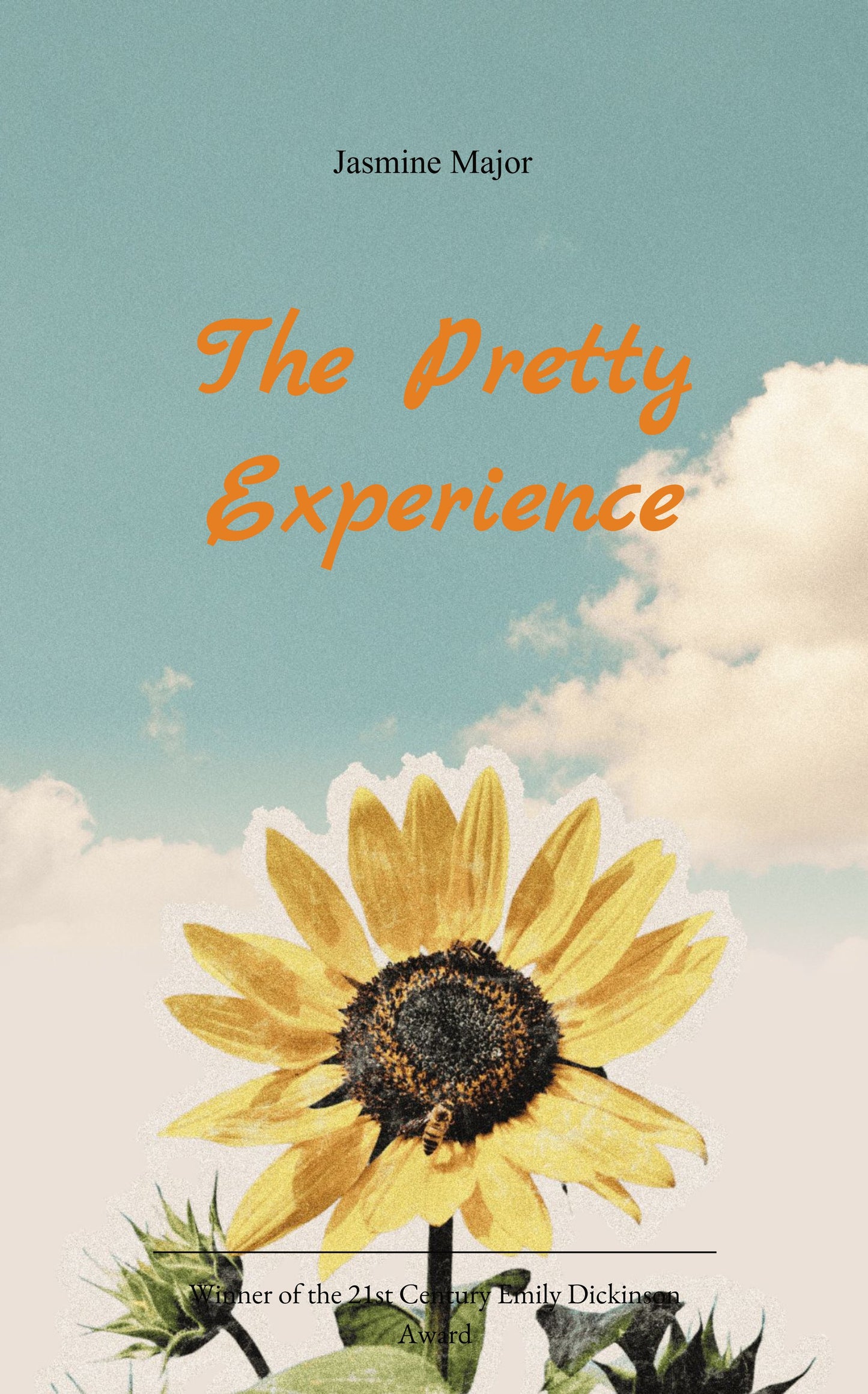 The Pretty Experience