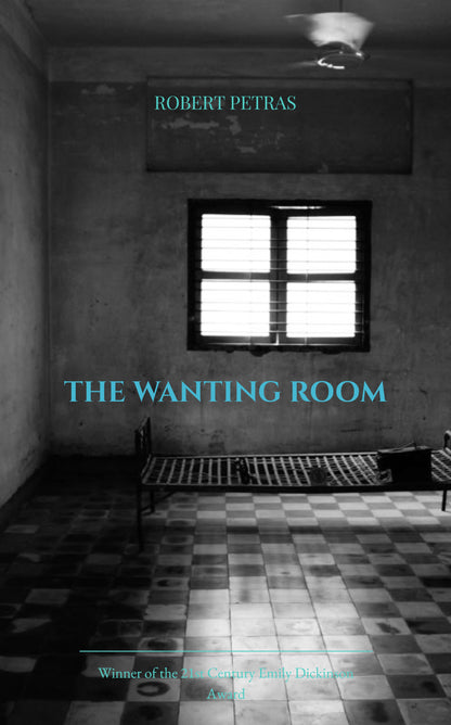 THE WANTING ROOM