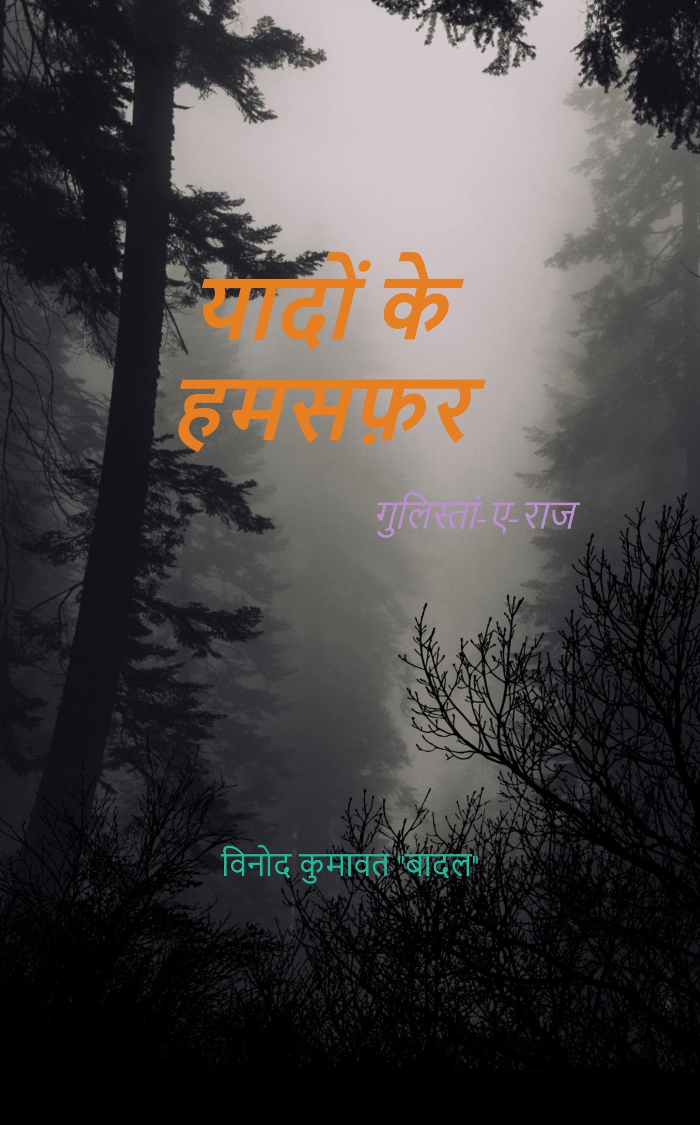 यादों के हमसफ़र