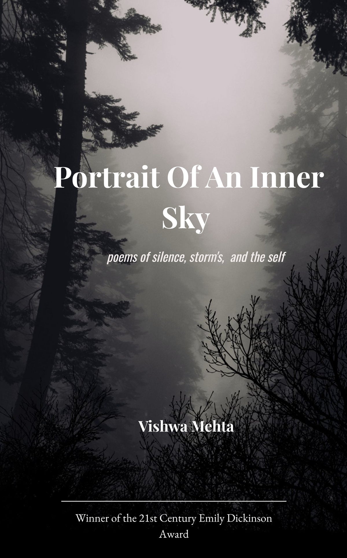 Portraits Of An  Inner Sky