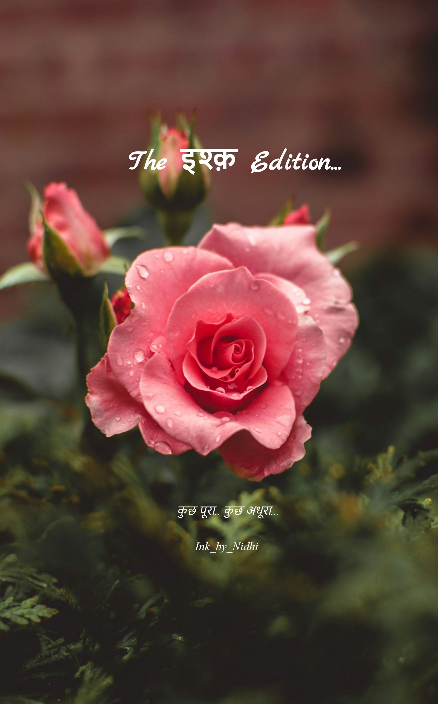 The इश्क़ Edition...