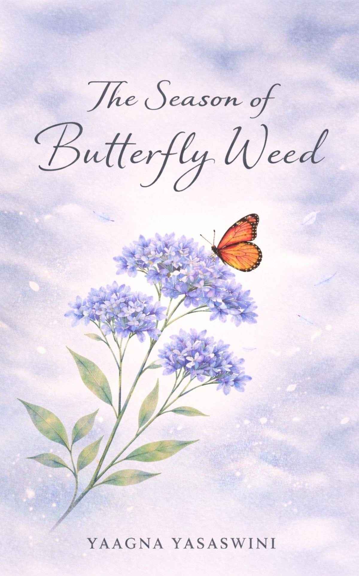 The Season of Butterfly Weed