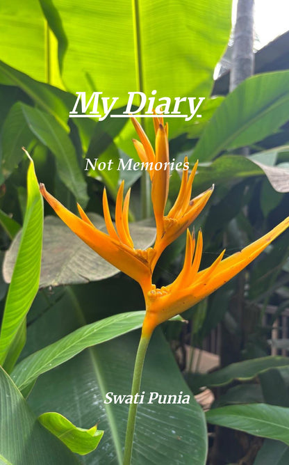 My Diary