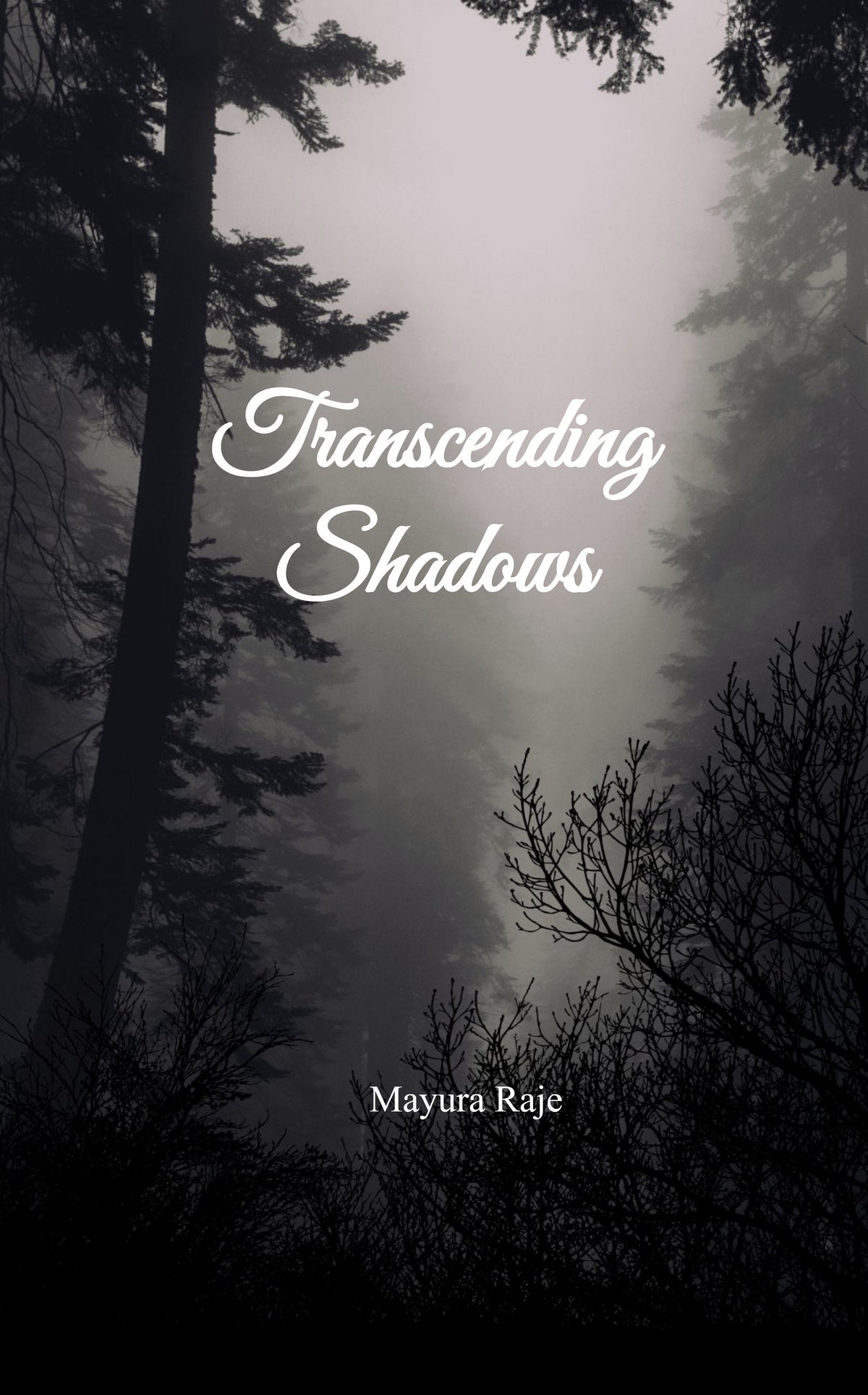 Transcending Shadows