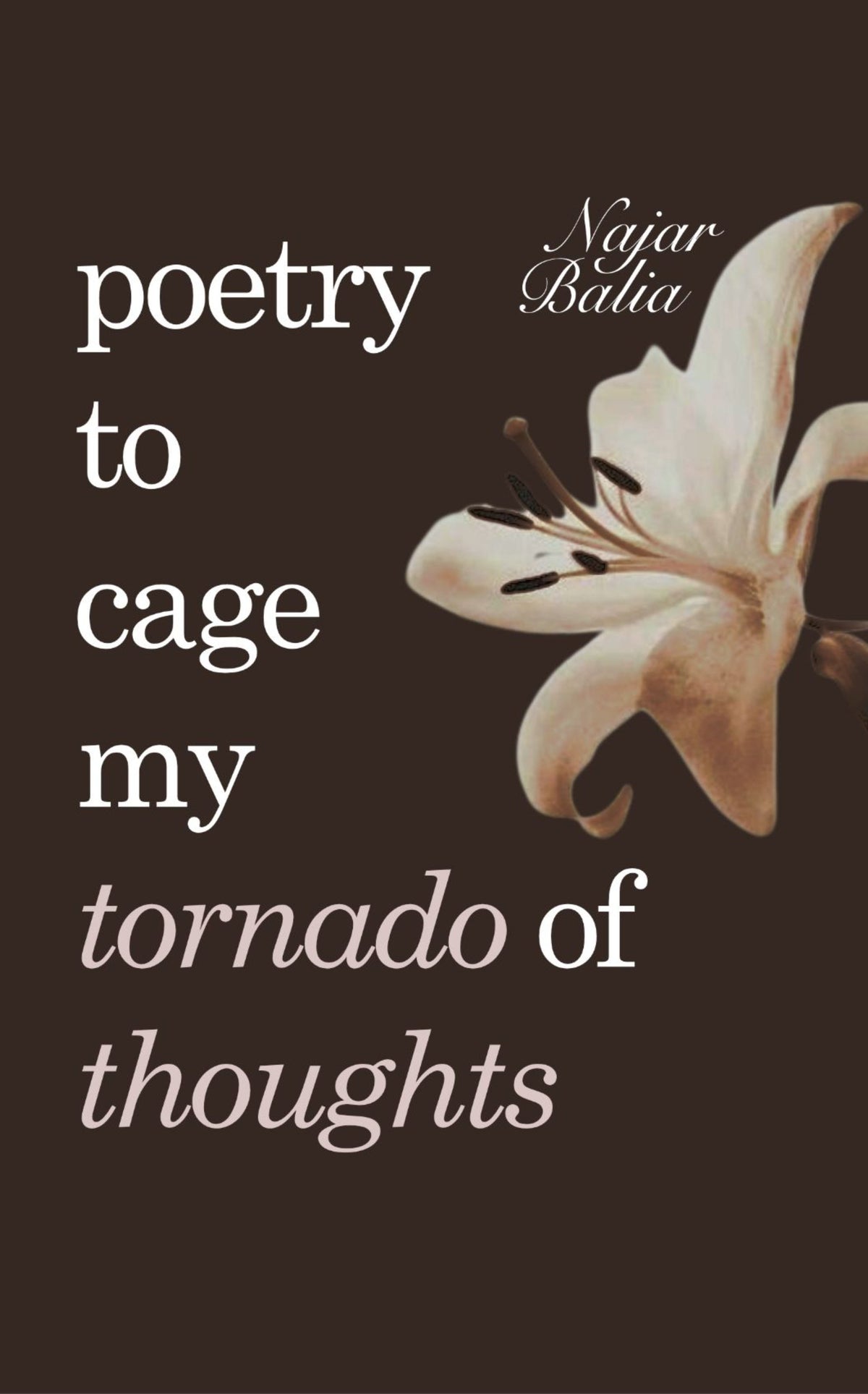 poetry to cage my tornado of thoughts