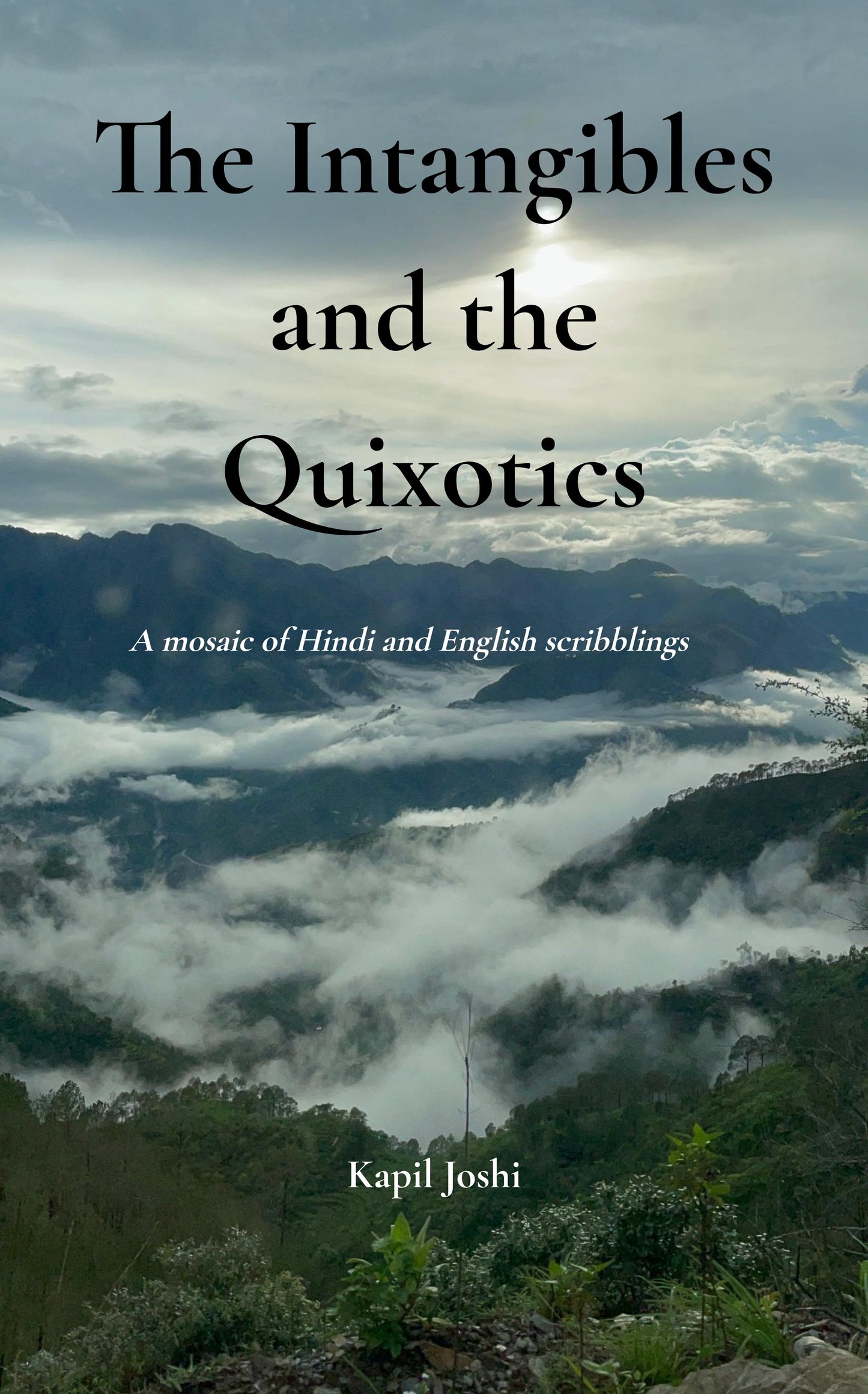 The Intangibles and the Quixotics