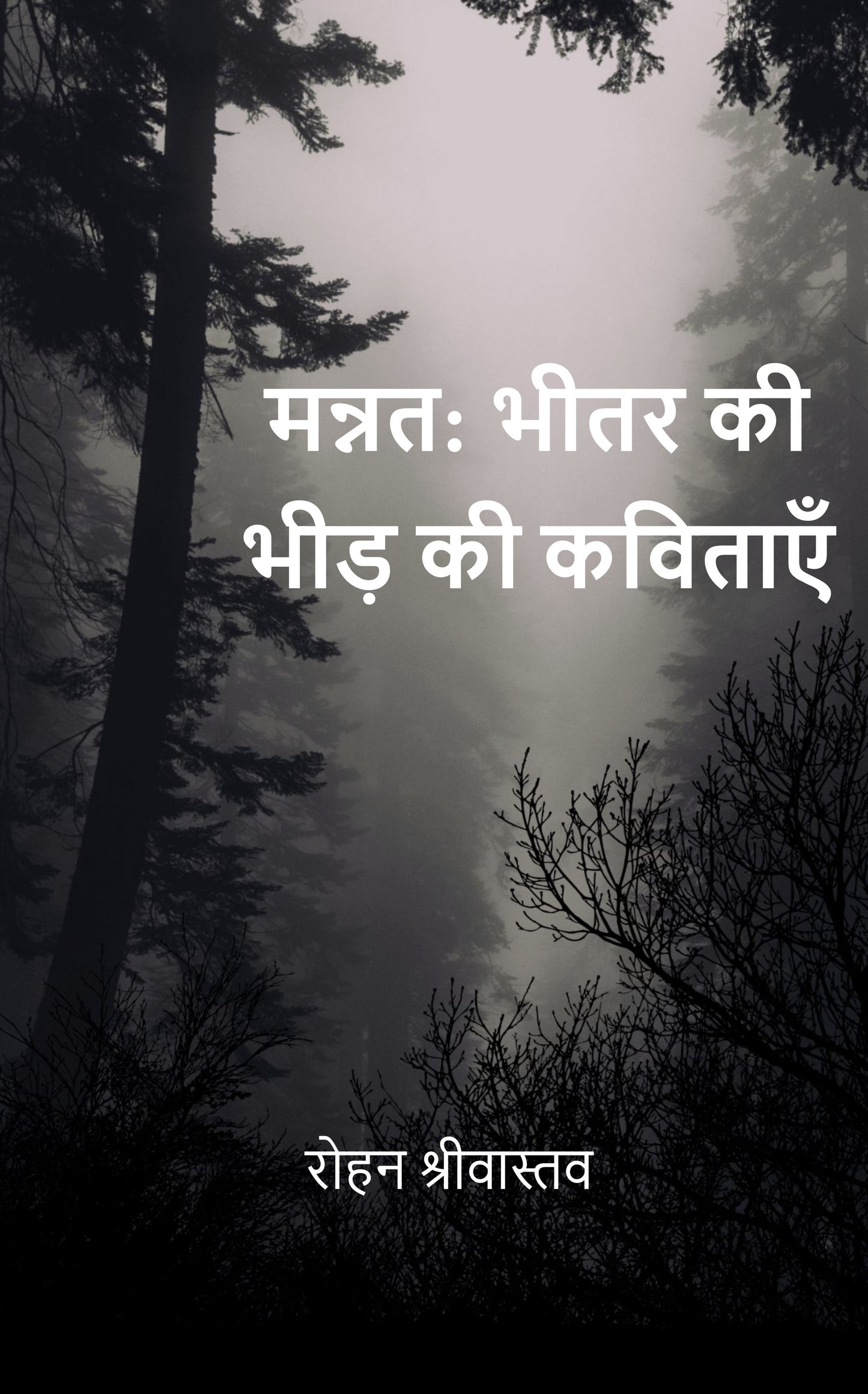 मन्नत: भीतर की भीड़ की कविताएँ