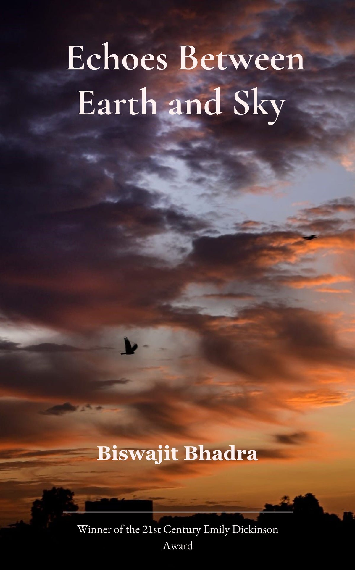 Echoes Between Earth and Sky