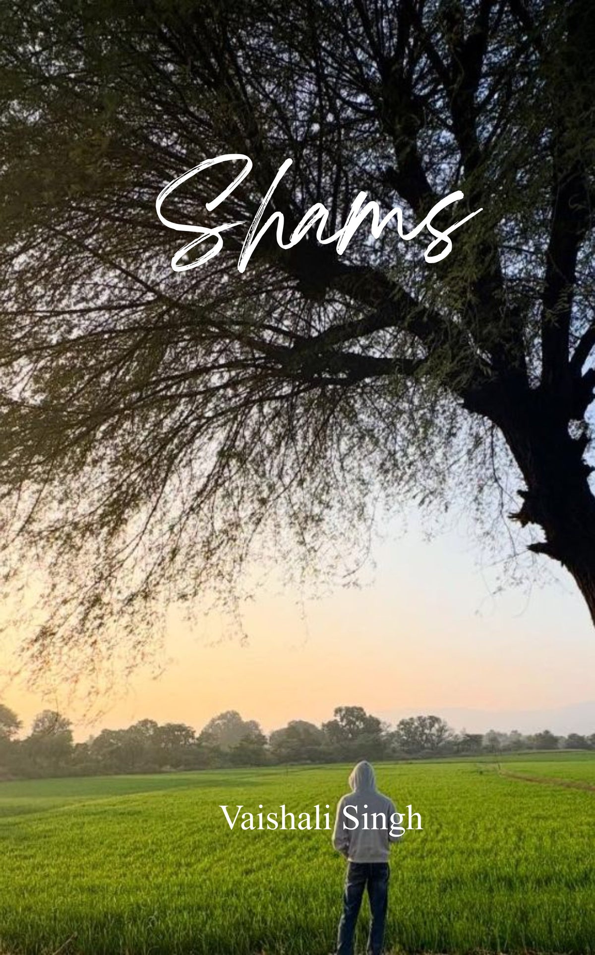 Shams