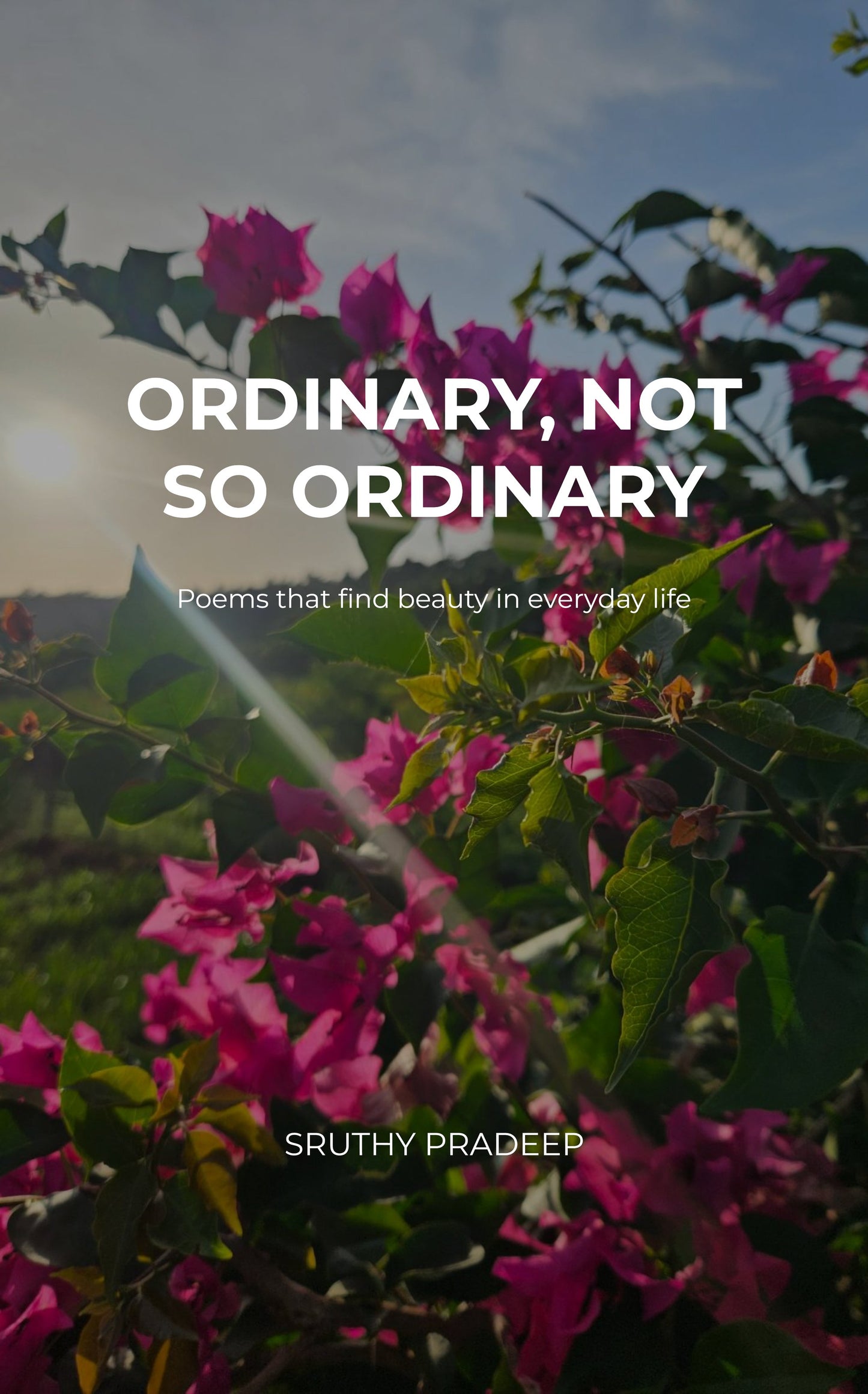 Ordinary, Not So Ordinary