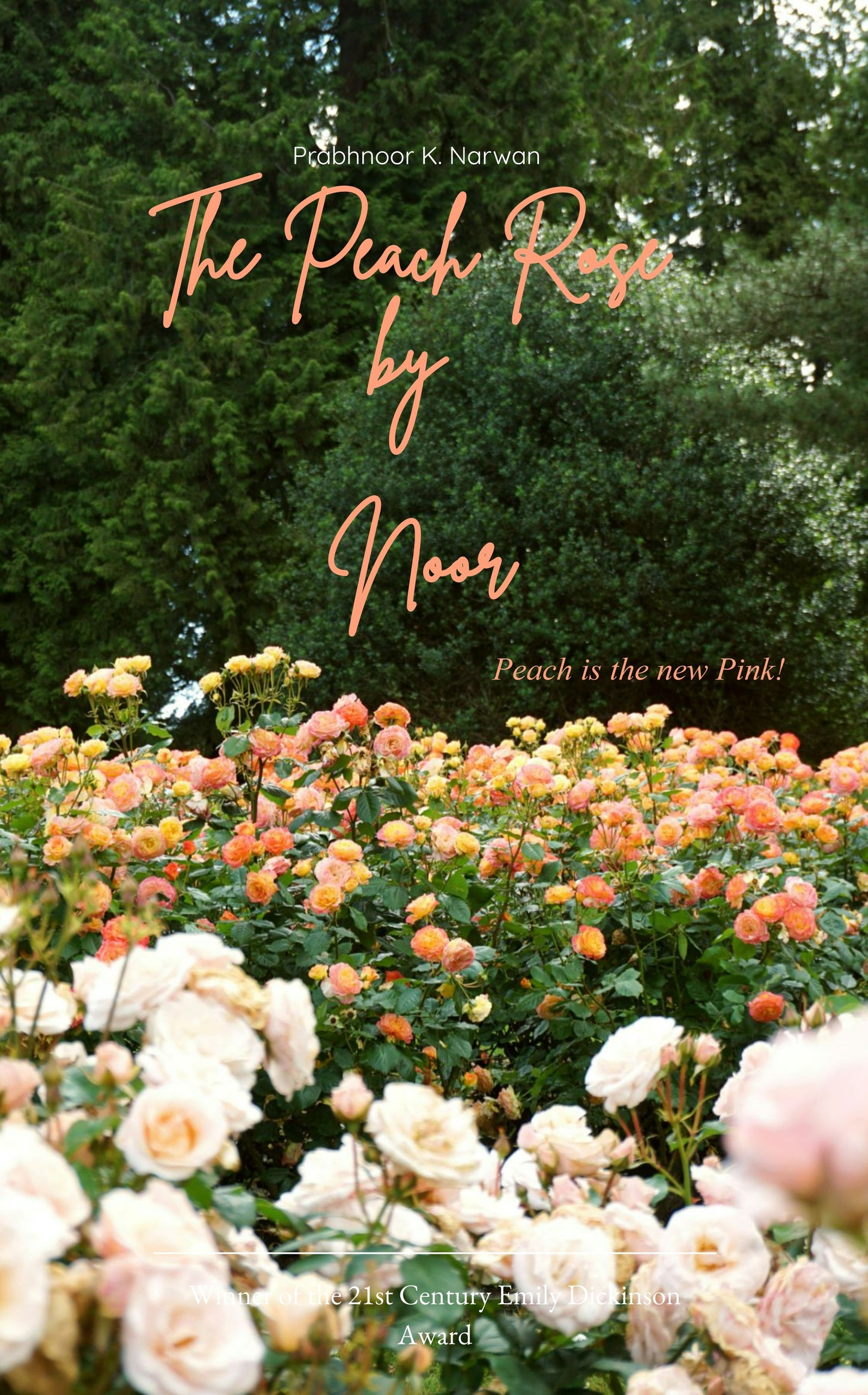 The Peach Rose by Noor