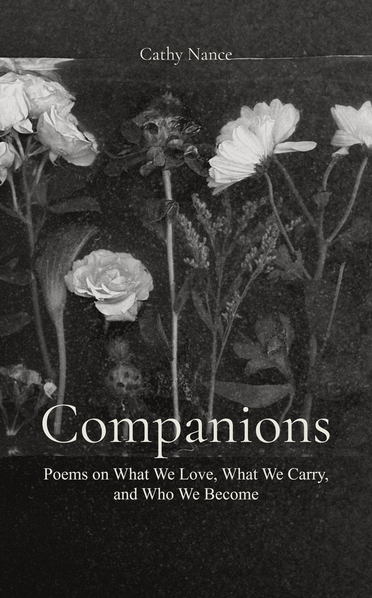Companions