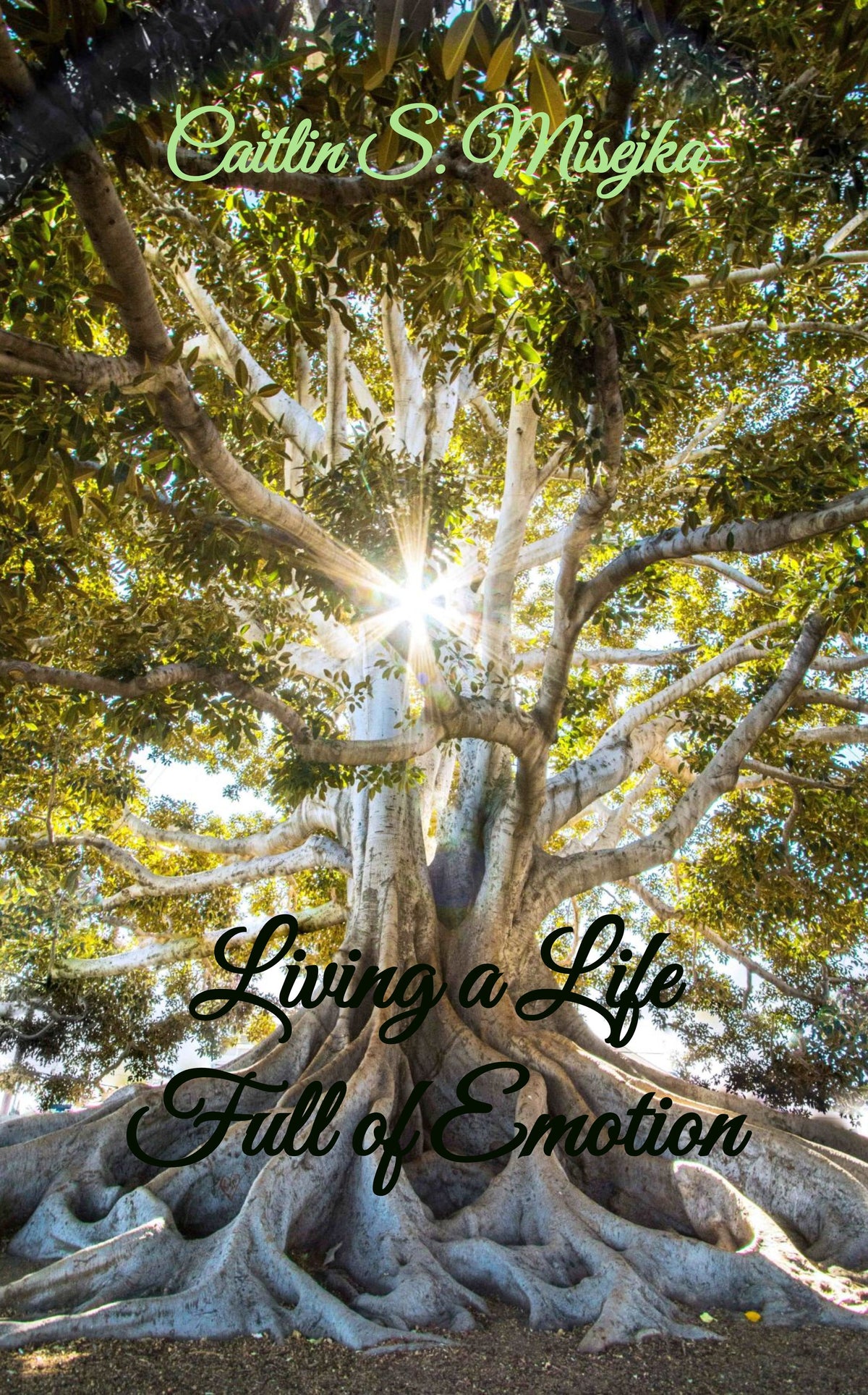Living a Life Full of Emotion