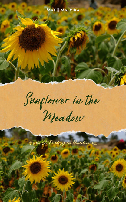 Sunflower in the Meadow