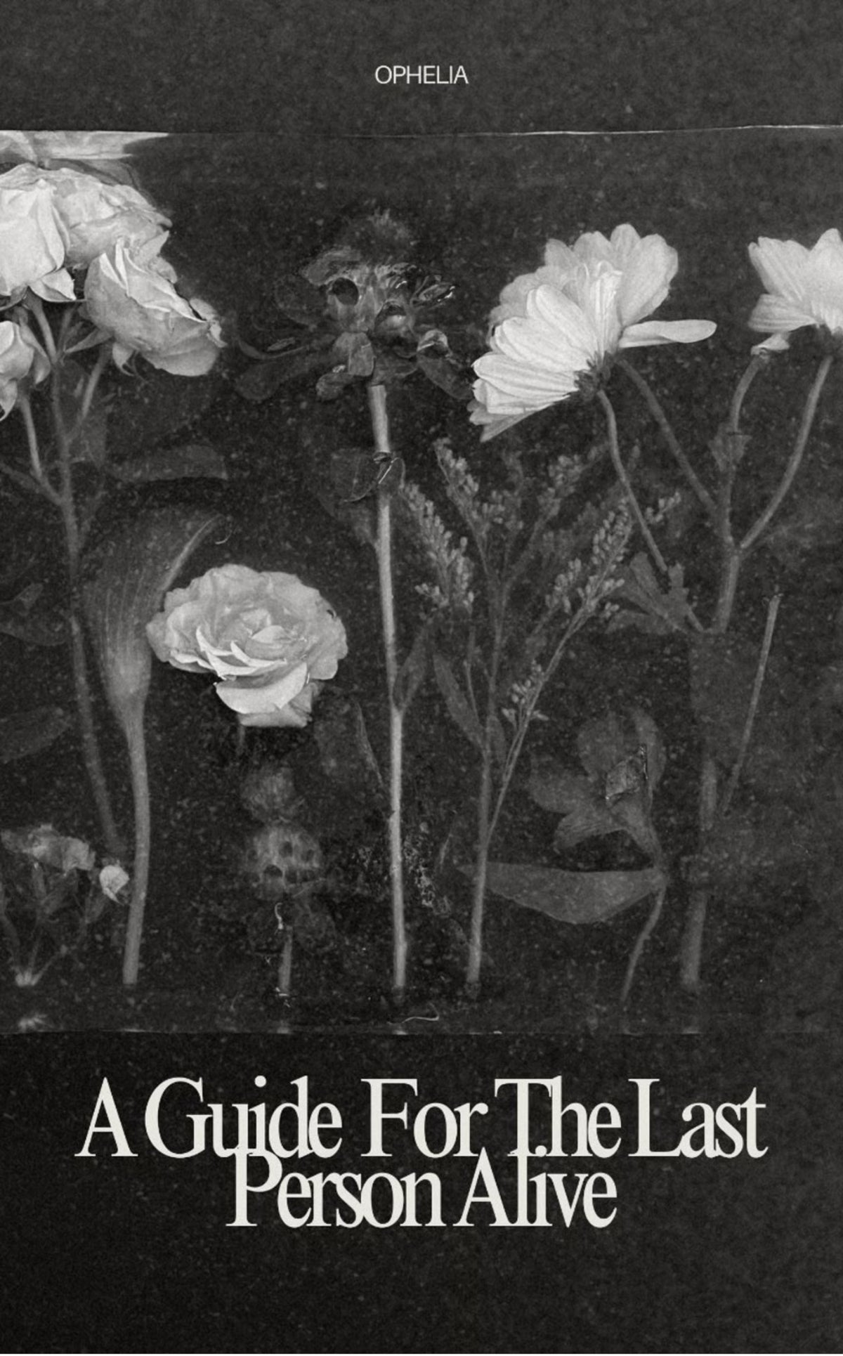 a guide for the last person alive