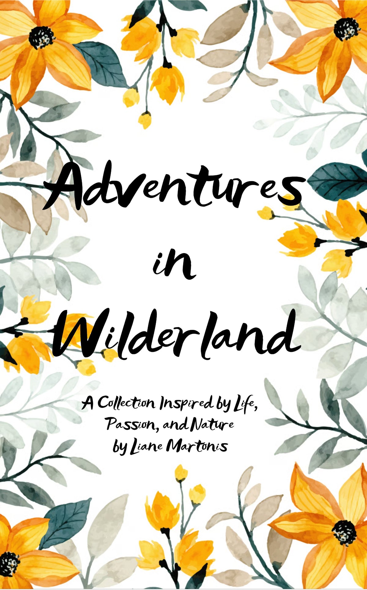 Adventures in Wilderland