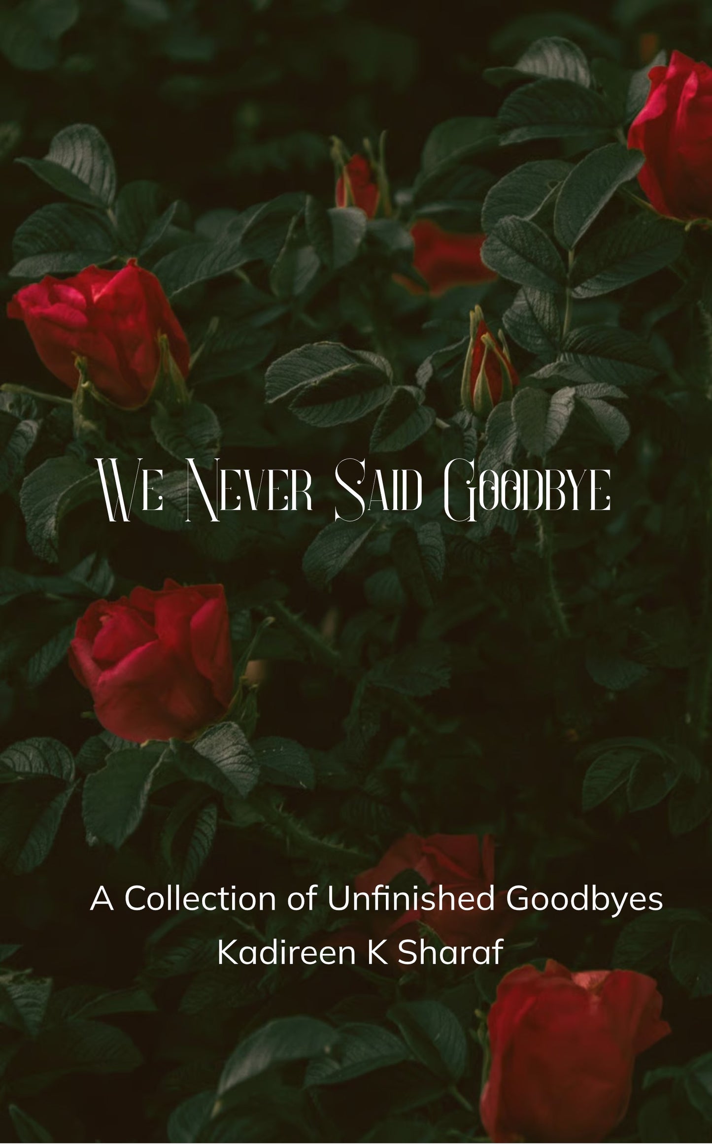 We Never Said Goodbye