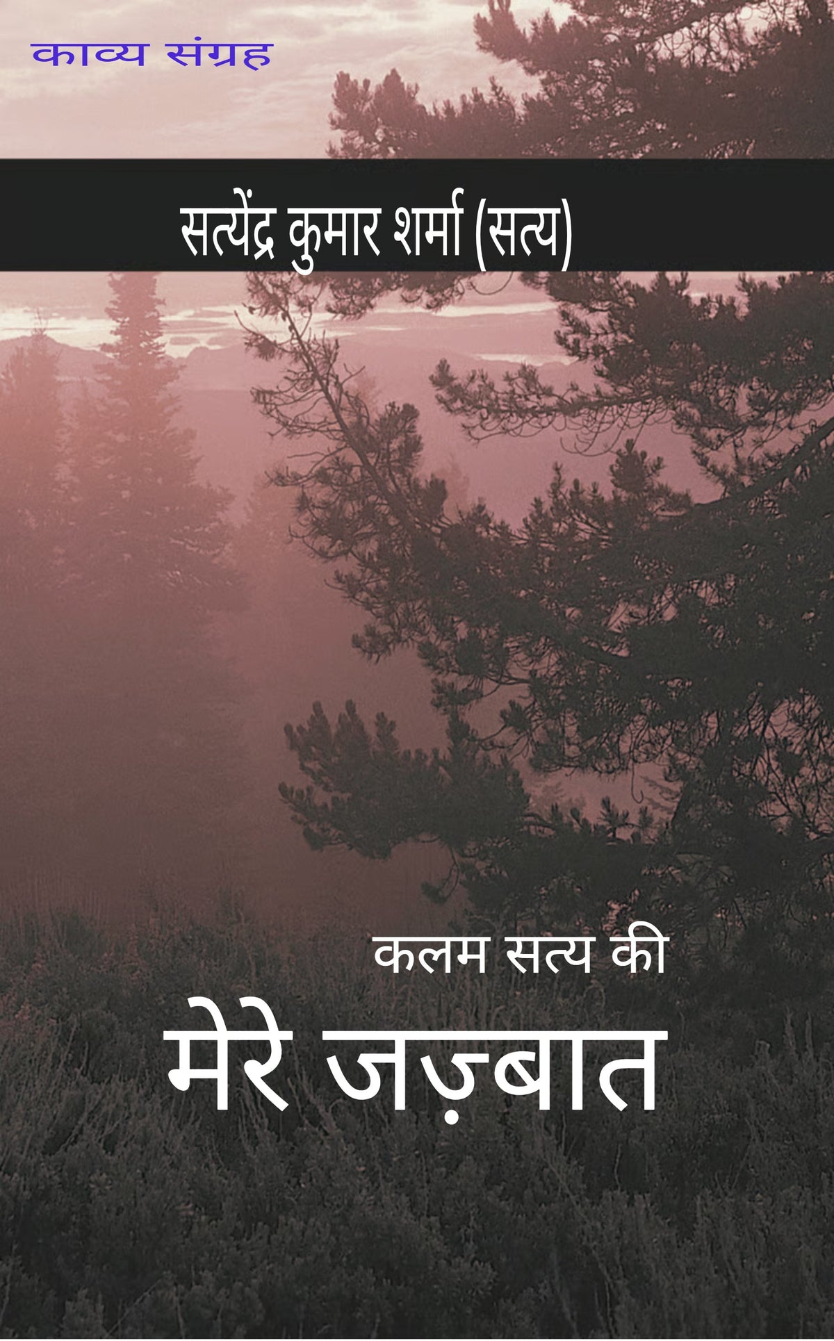 मेरे जज़्बात