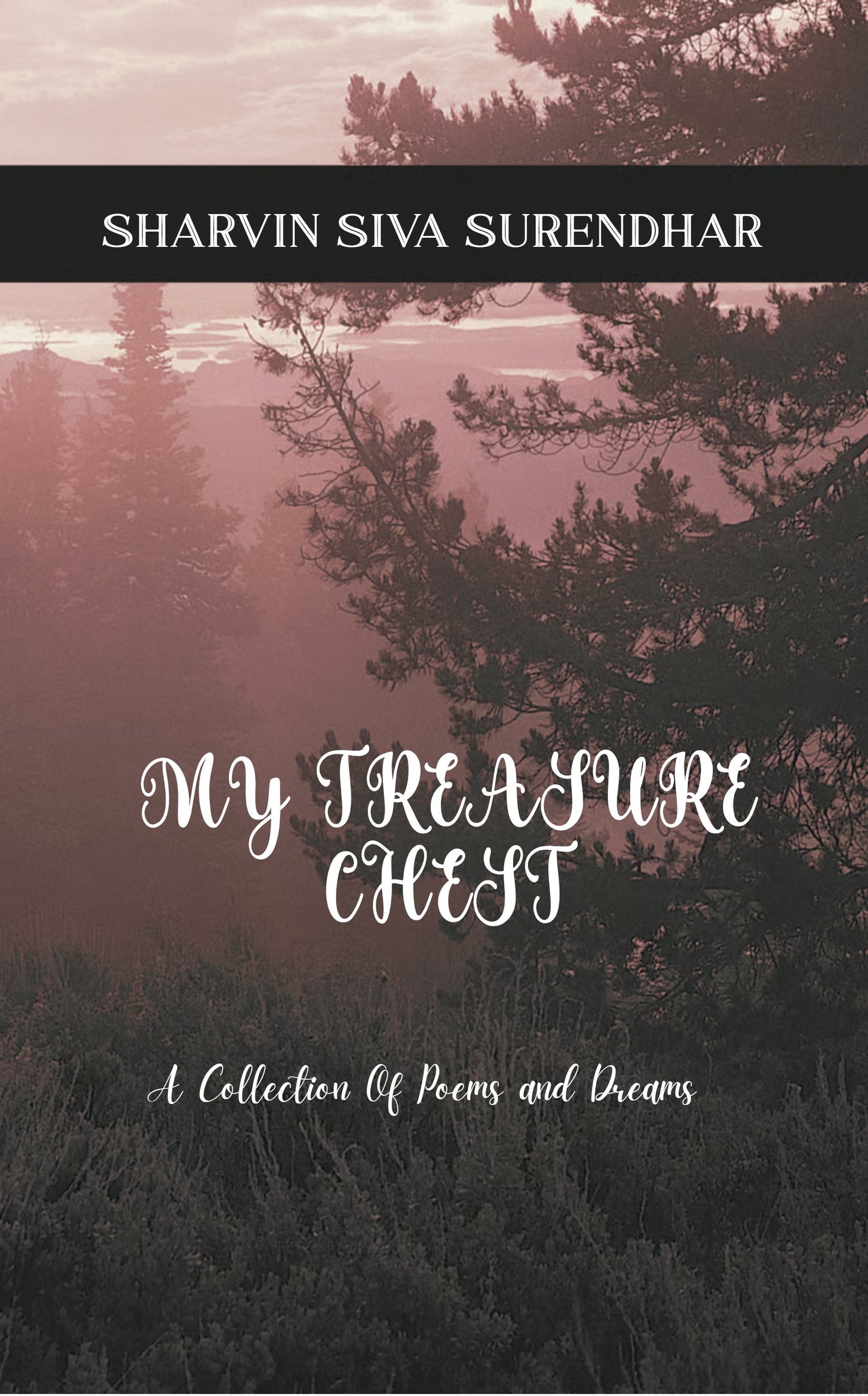 My Treasure Chest
