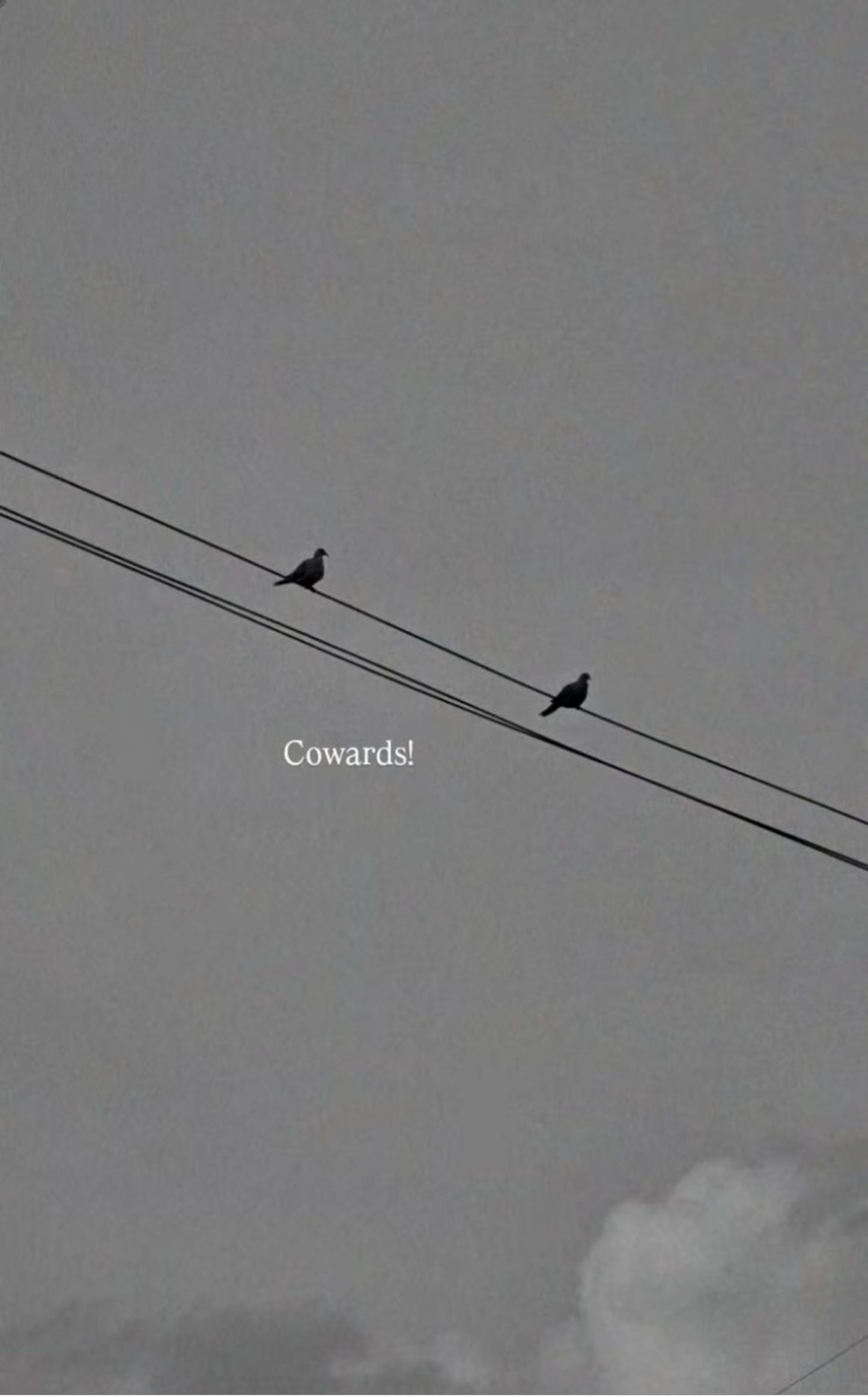 Cowards