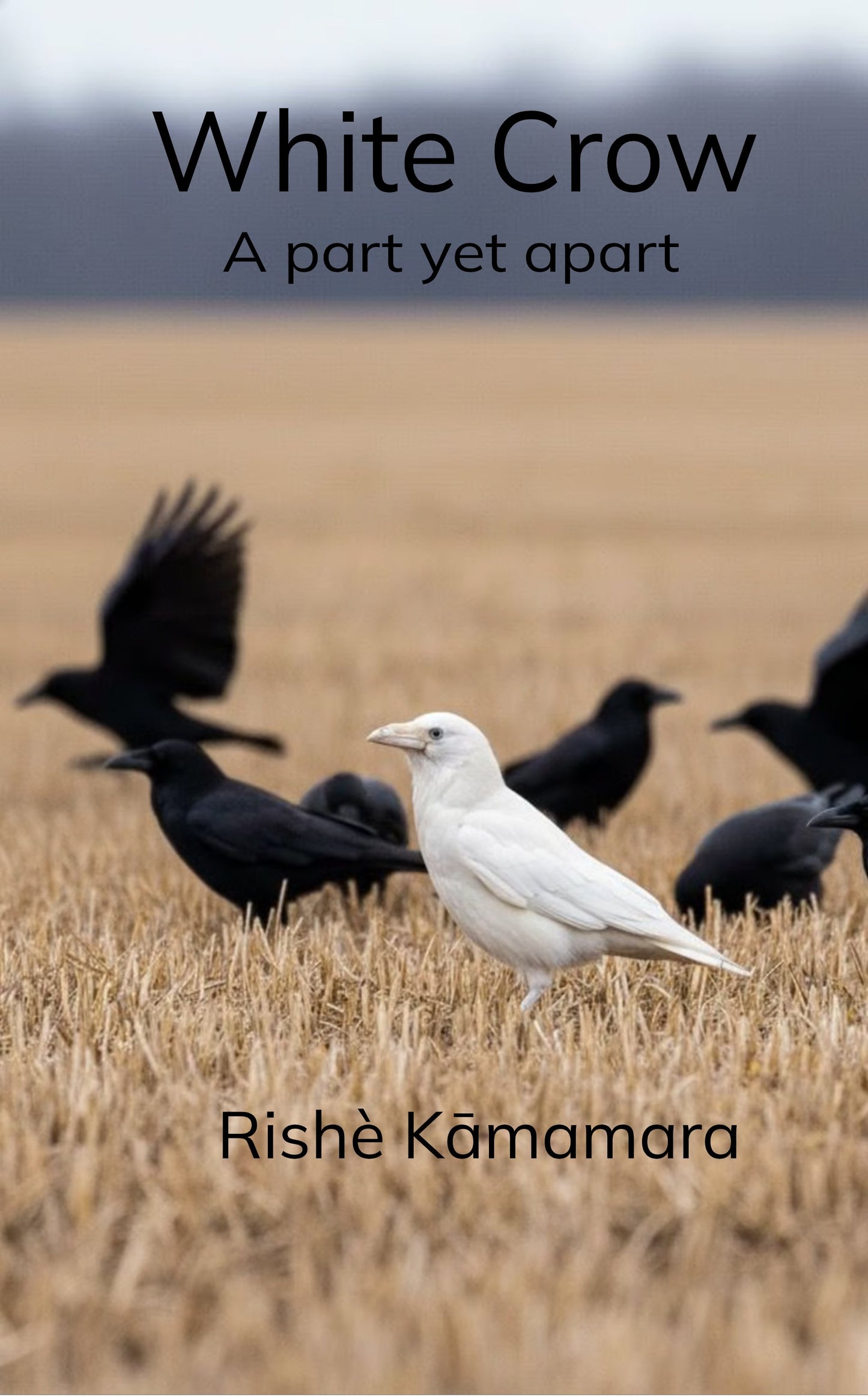 White Crow