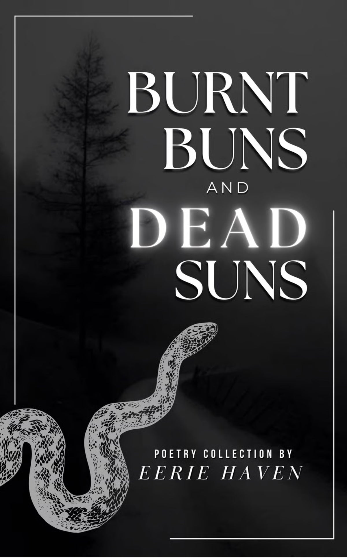 Burnt buns and dead suns