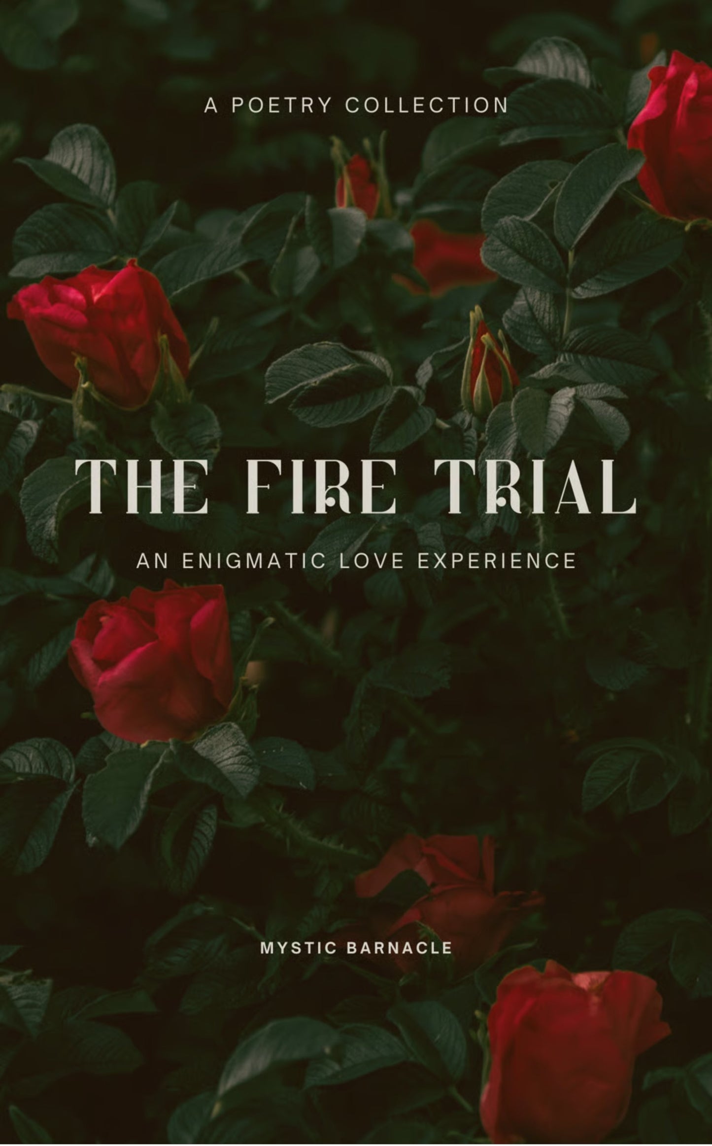 The Fire Trial