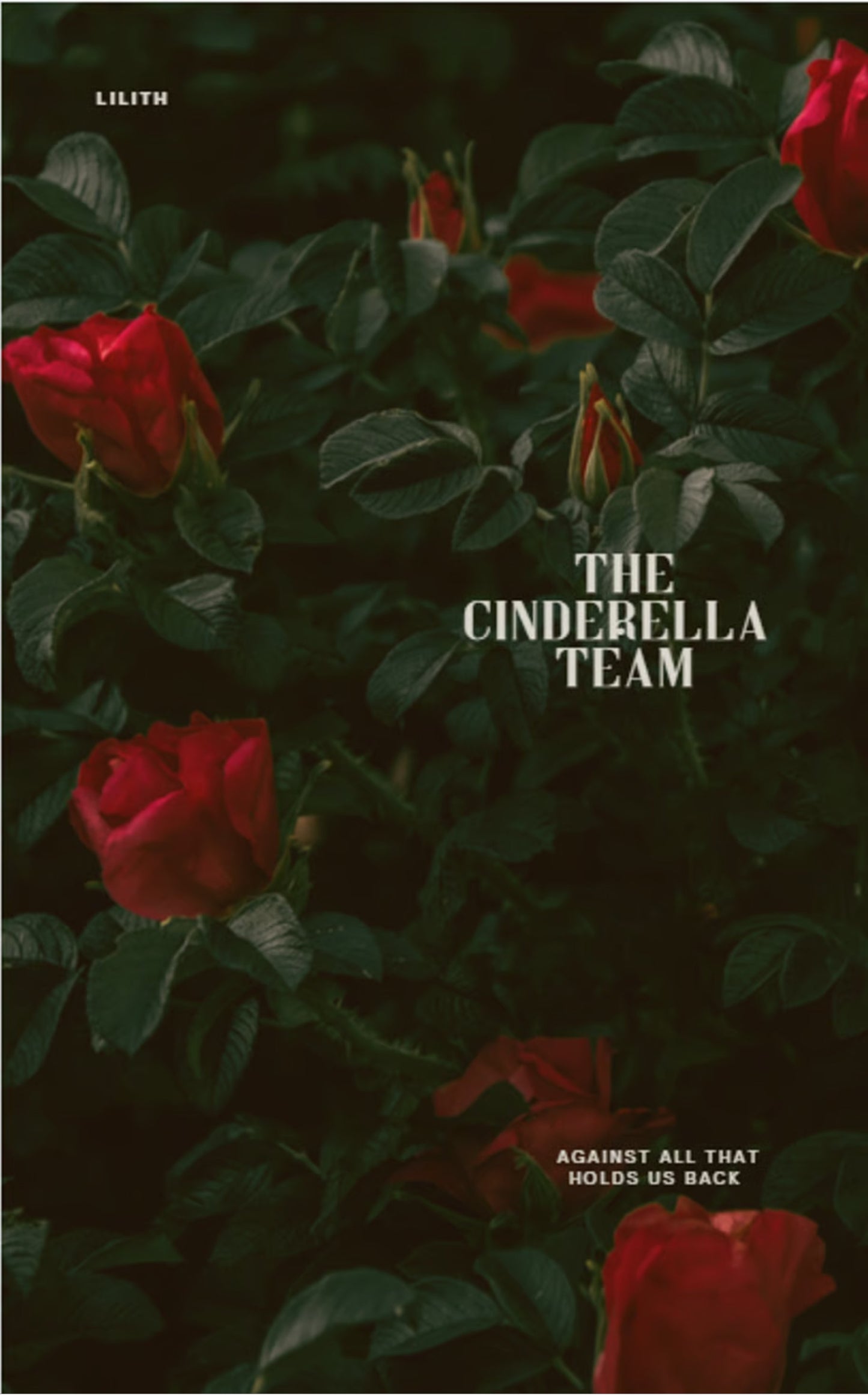 The Cinderella Team