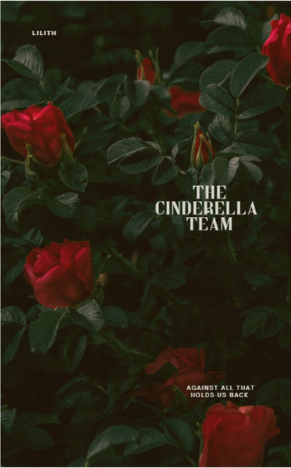 The Cinderella Team